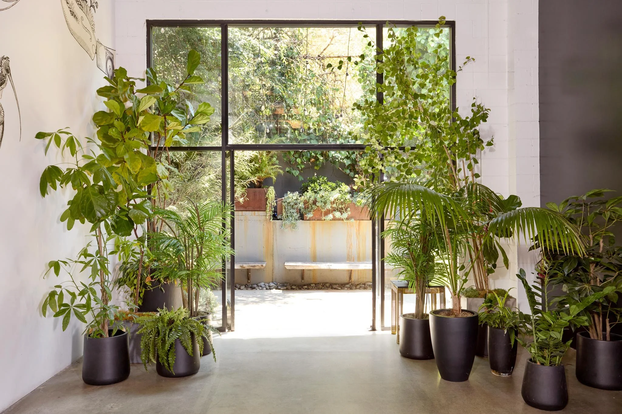 Indoor space with large potted plants arranged along the wall and near a glass door. Outside, trees and greenery are visible through the window.