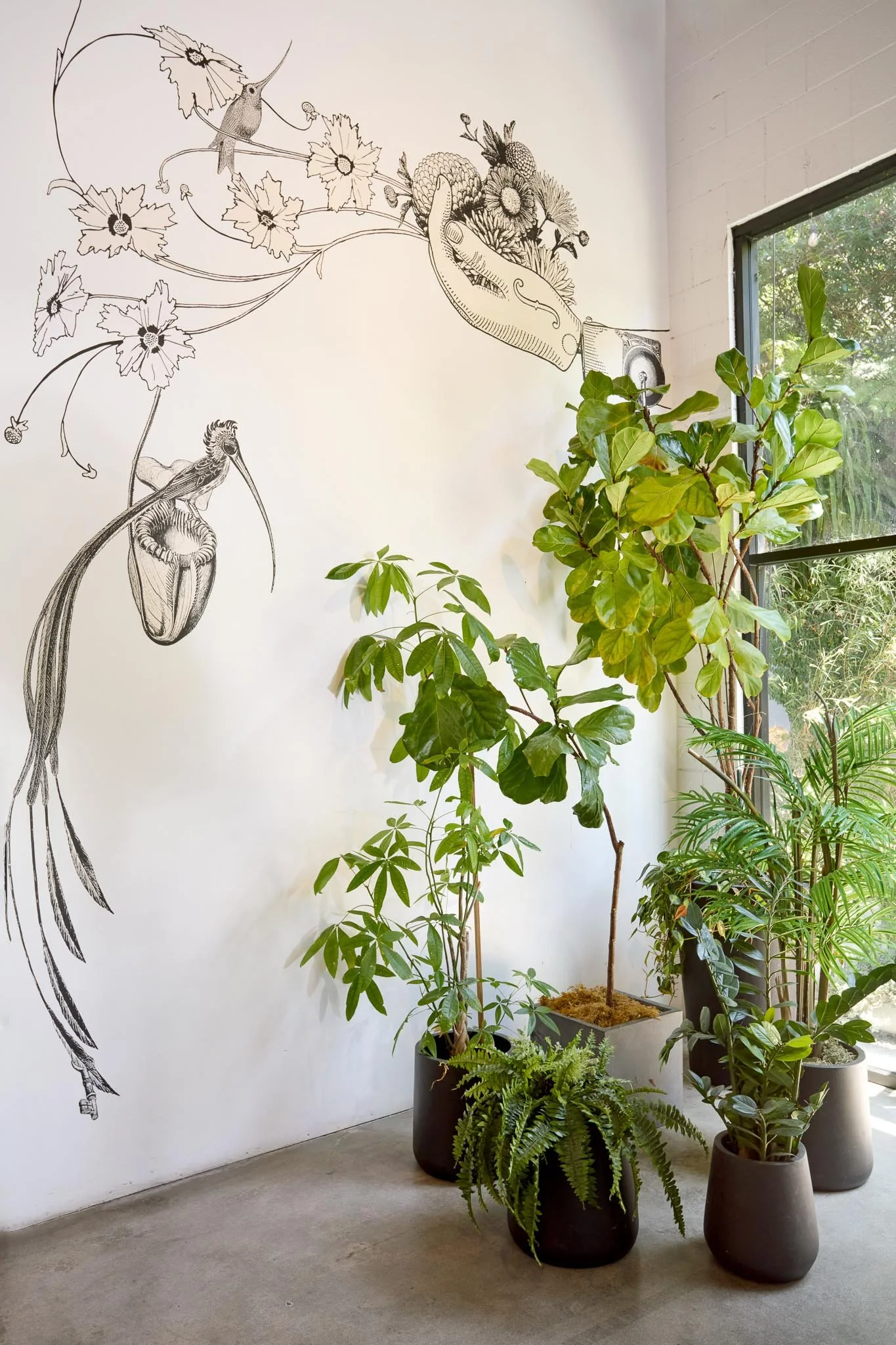 Indoor space with potted plants of varying sizes and types near a large window, with black and white botanical mural on the wall.