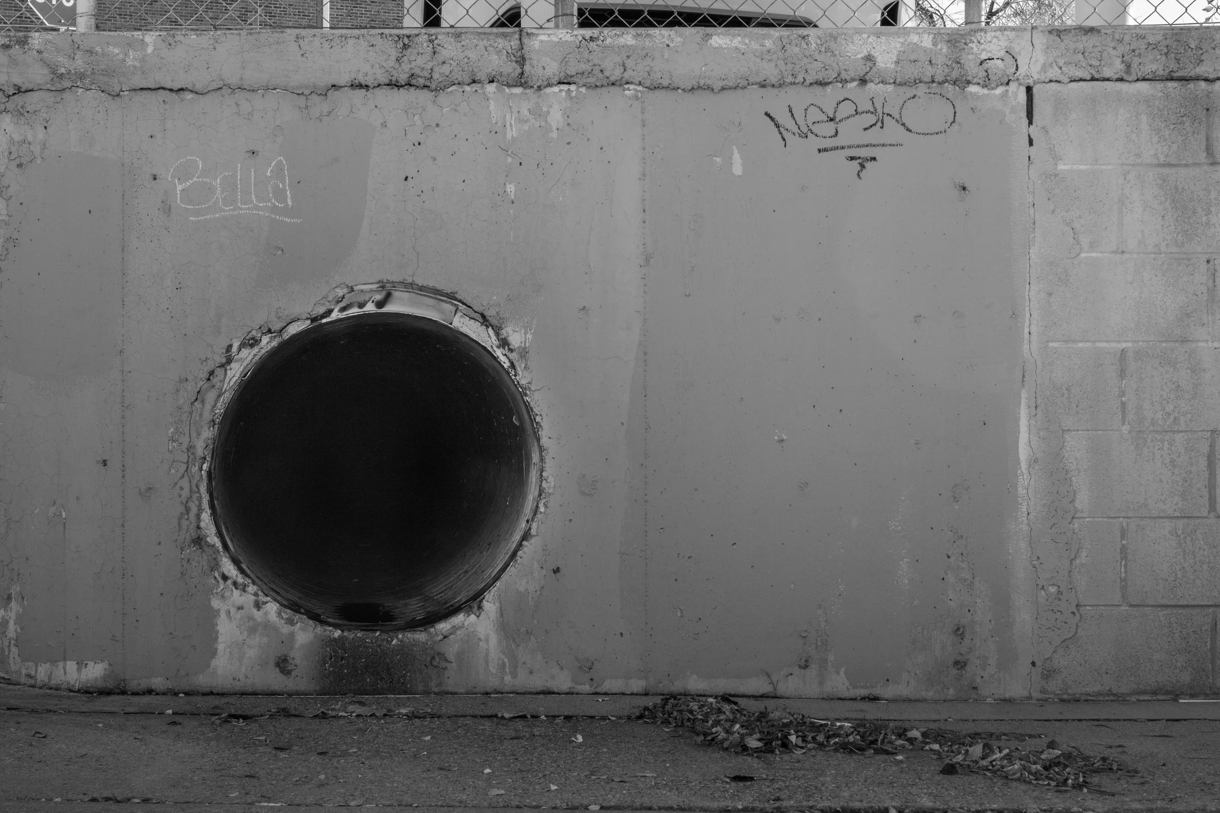 Website Photos-13.jpg