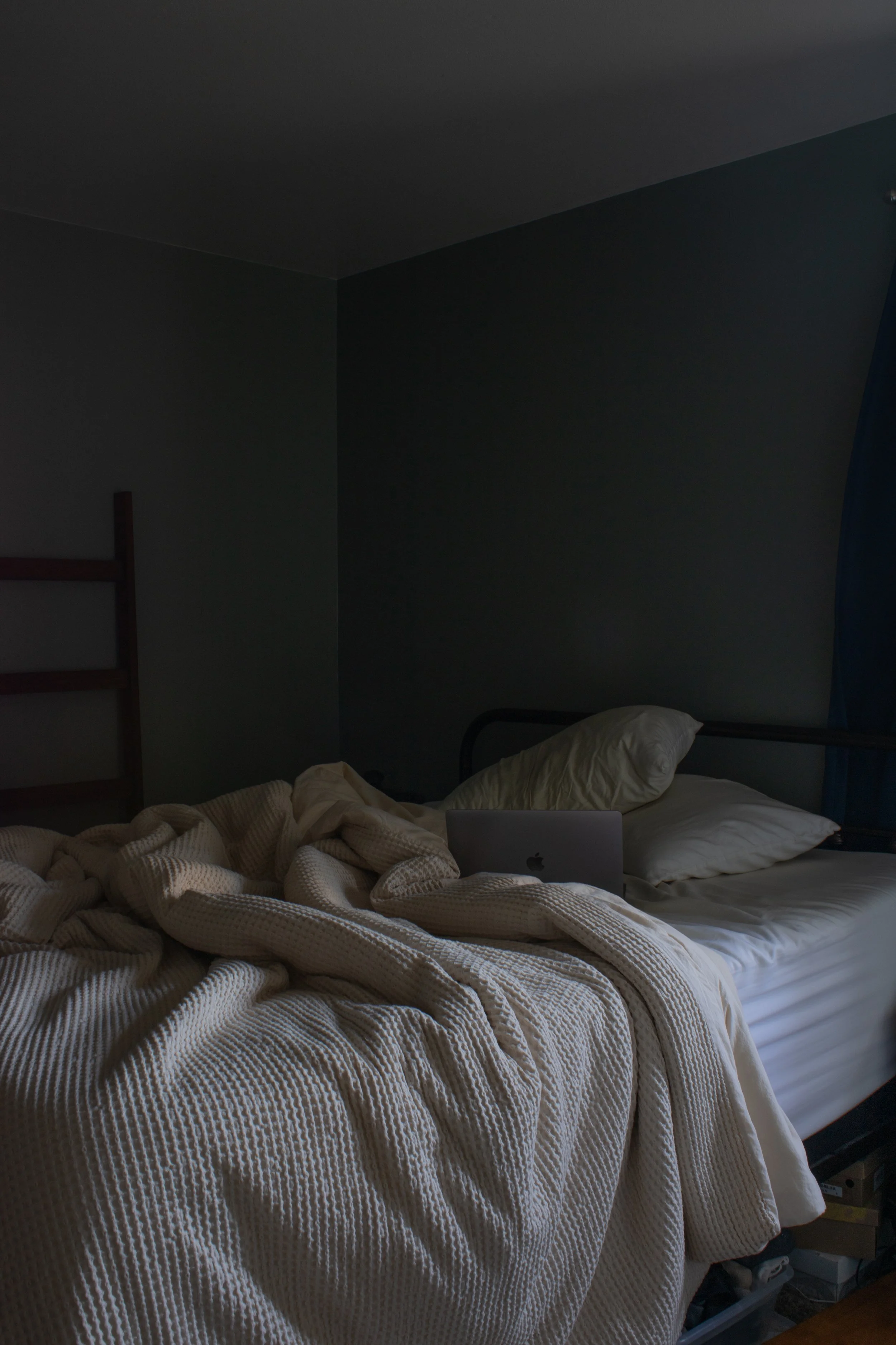  Website Photos3-2.jpg