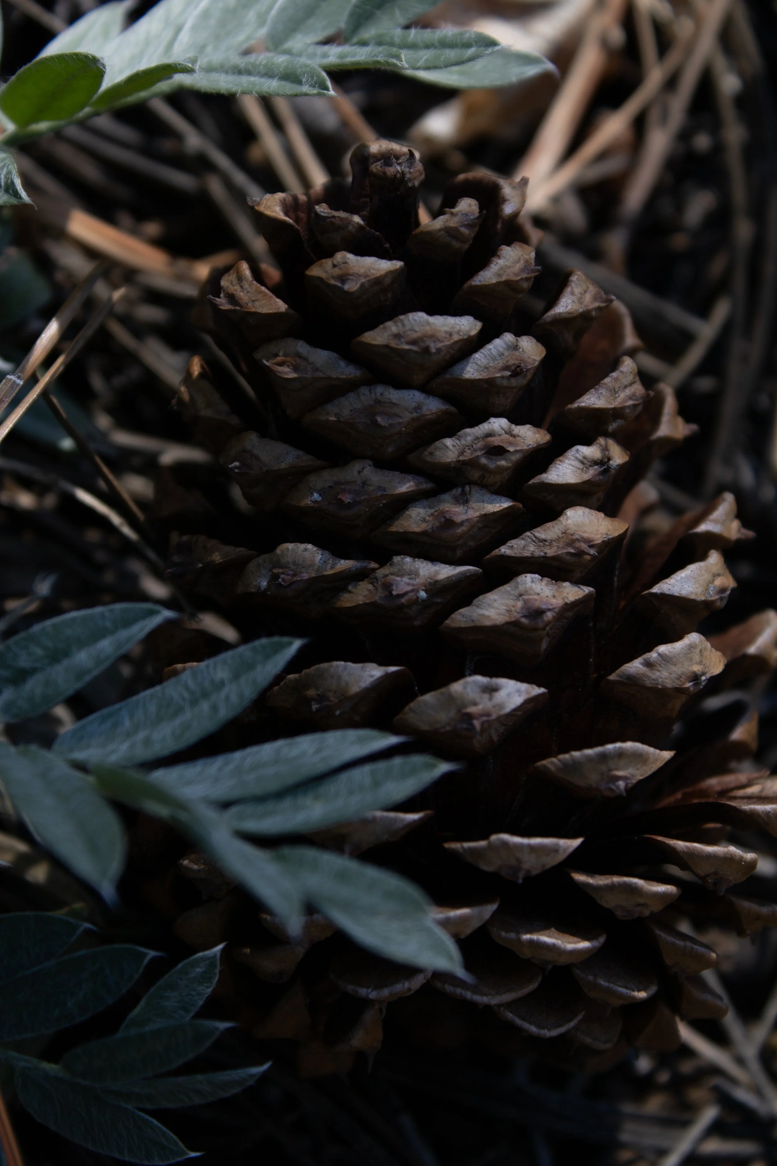  Website Photos6-4.jpg