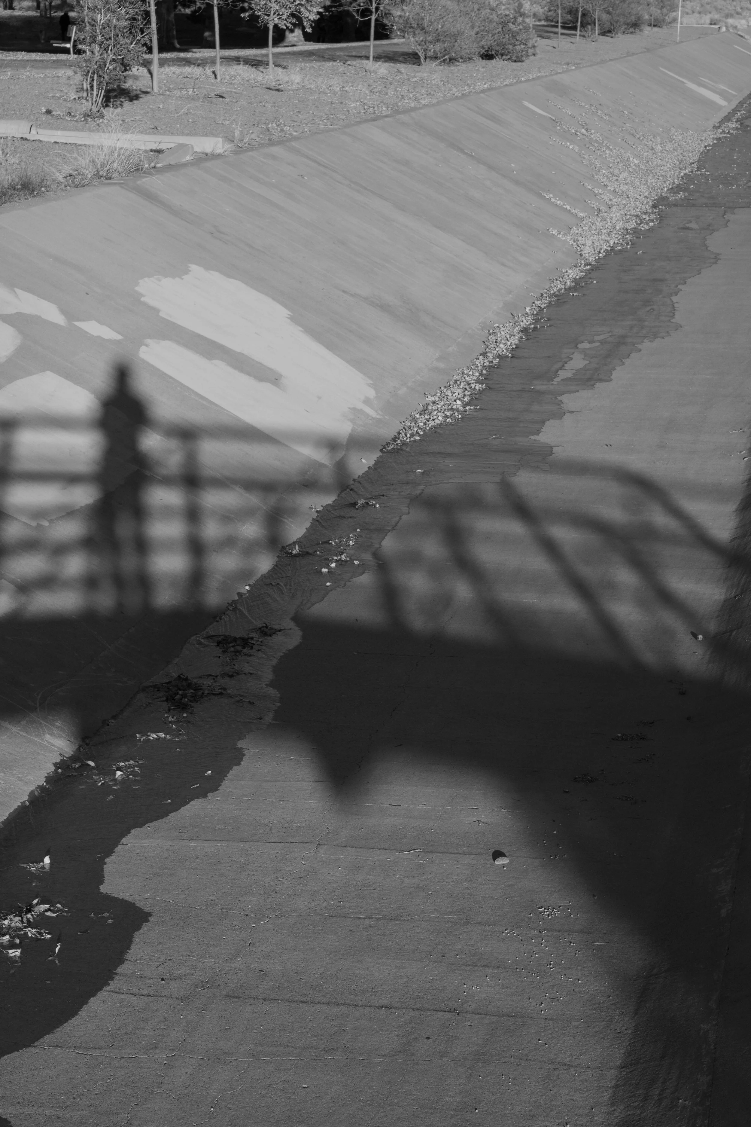 Website Photos-12.jpg