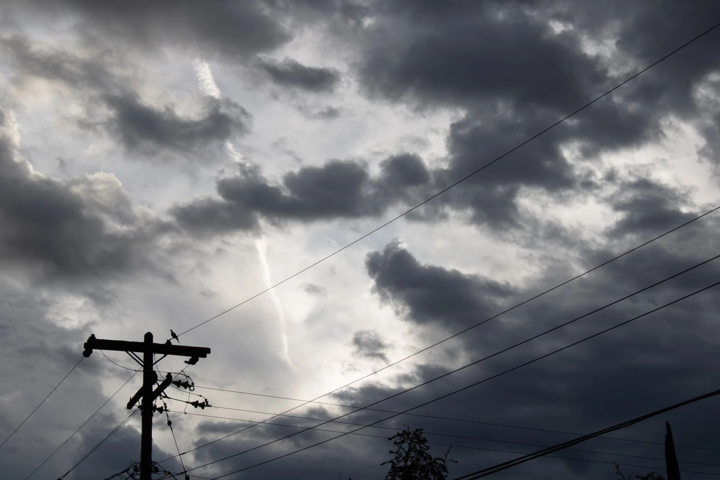 Website Photos-5.jpg