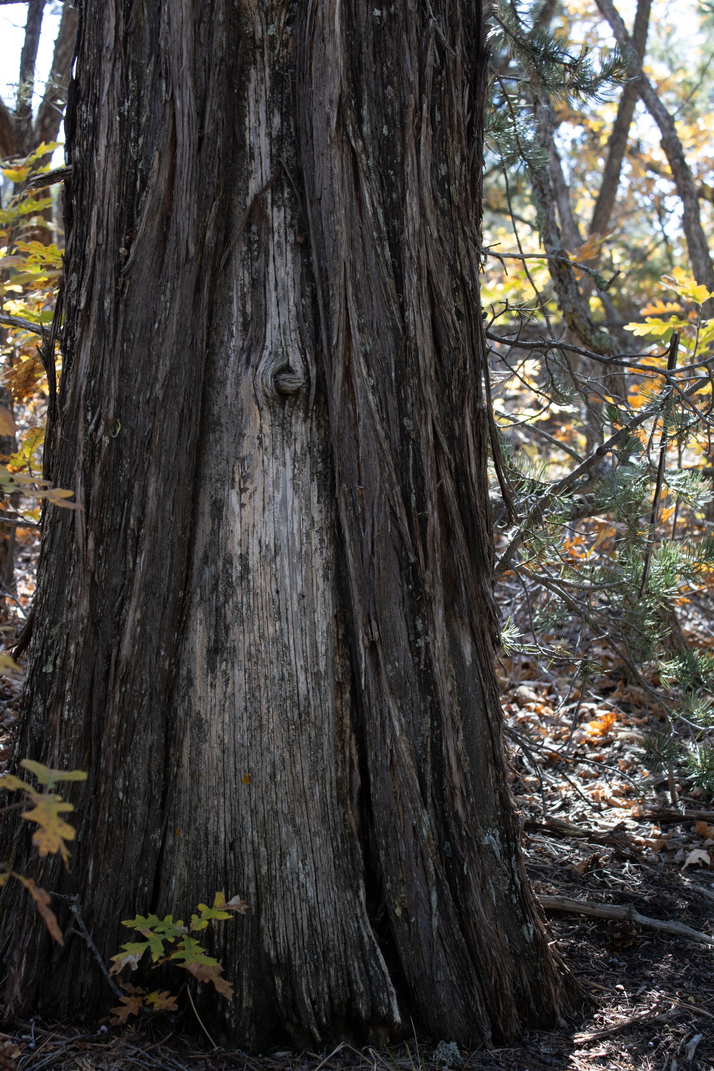  Website Photos6-3.jpg