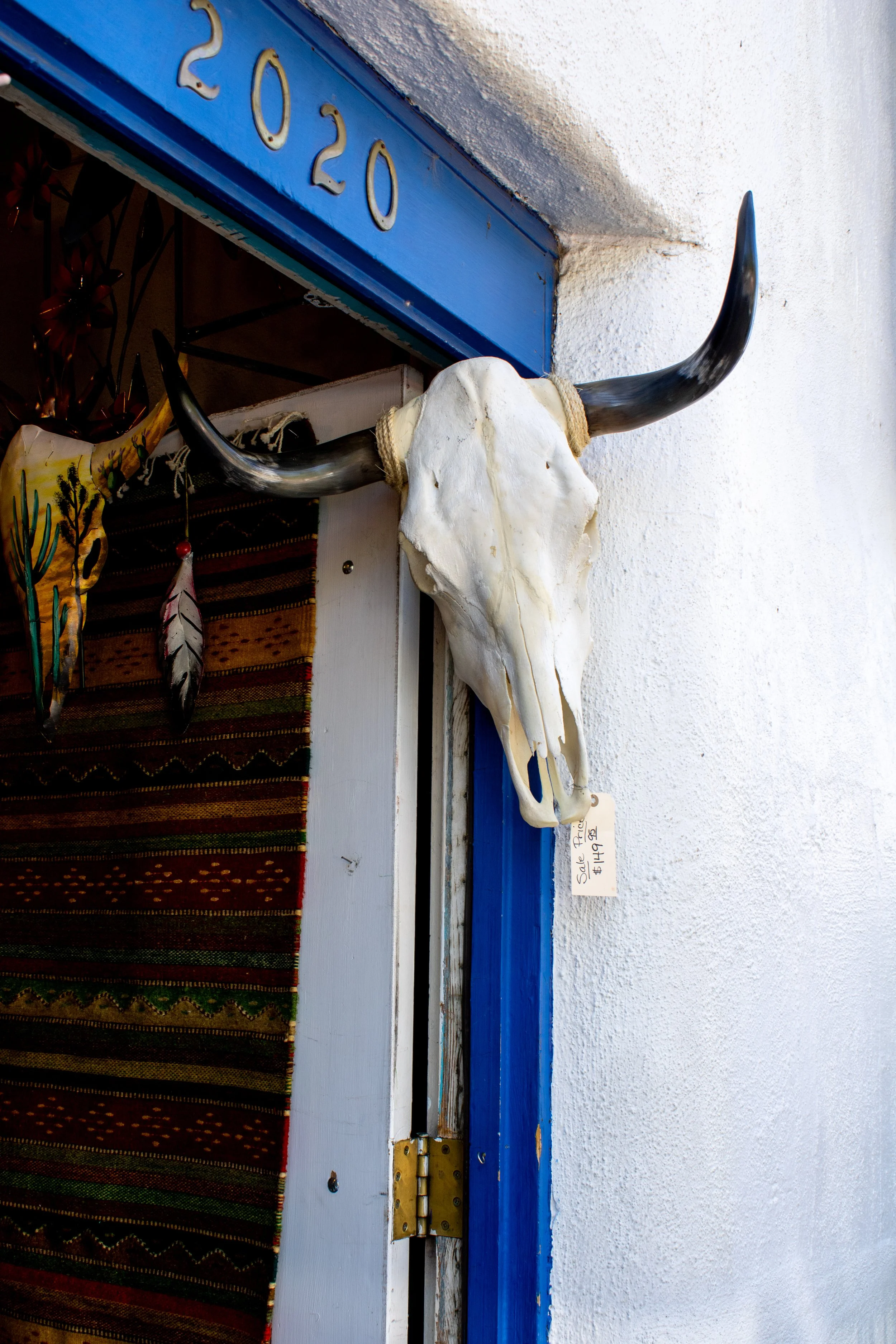 Website Photos-2.jpg