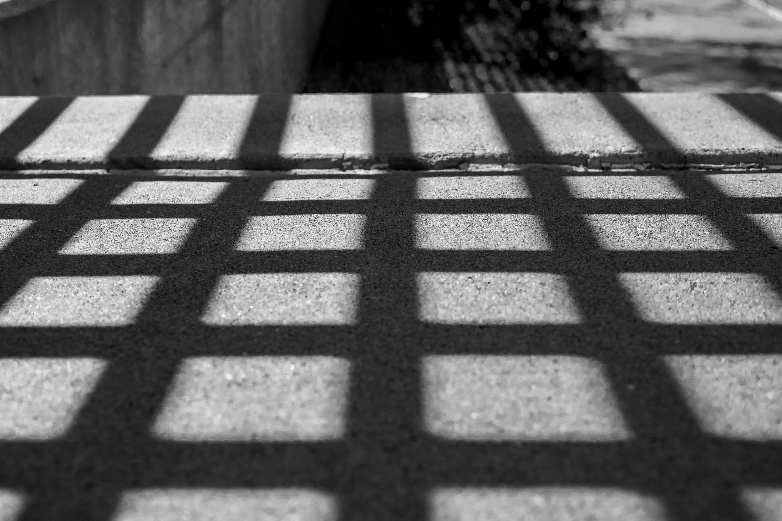 Website Photos-9.jpg