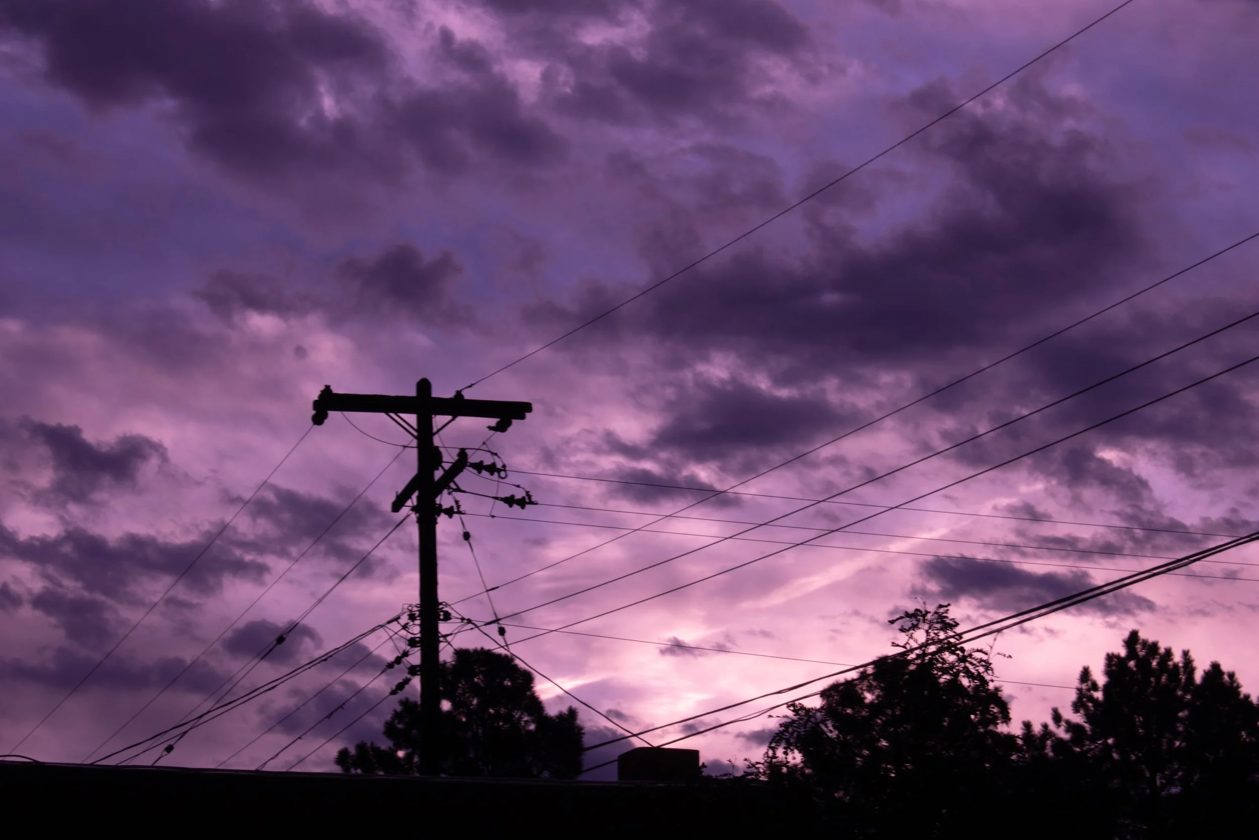 Website Photos-3.jpg