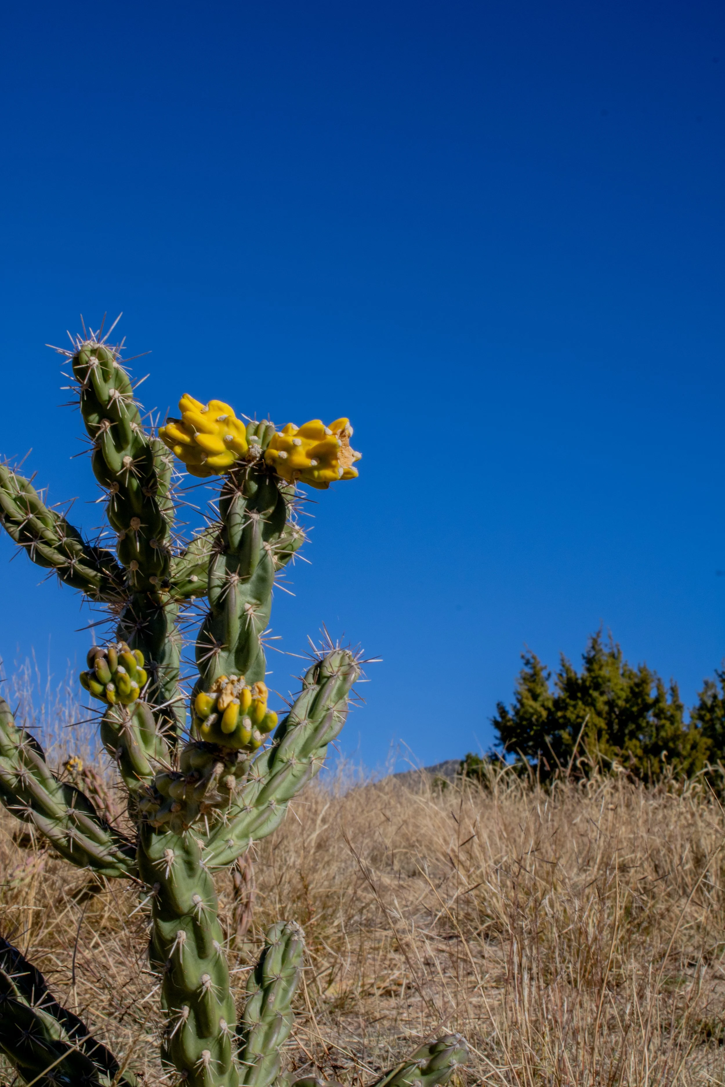  Website Photos6-2.jpg