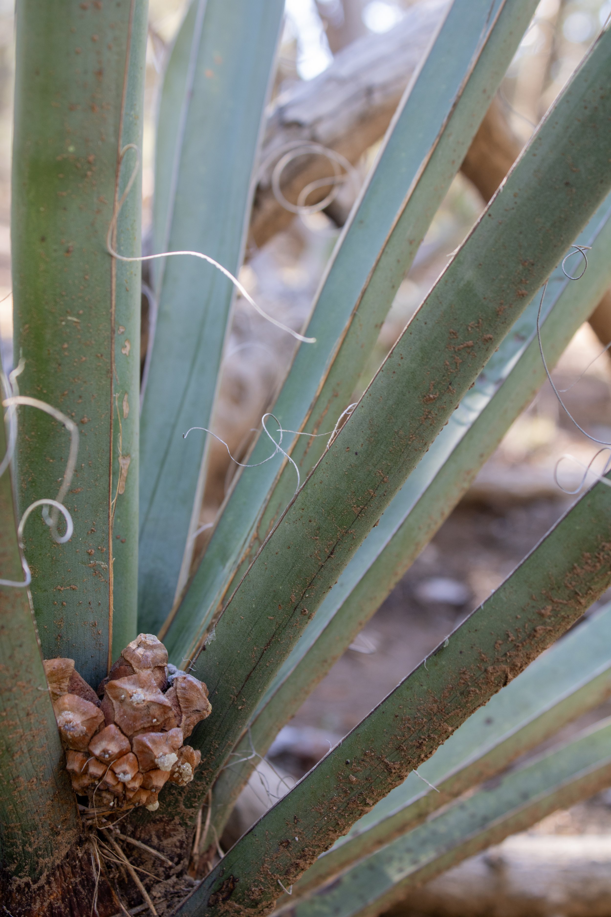  Website Photos2-2.jpg