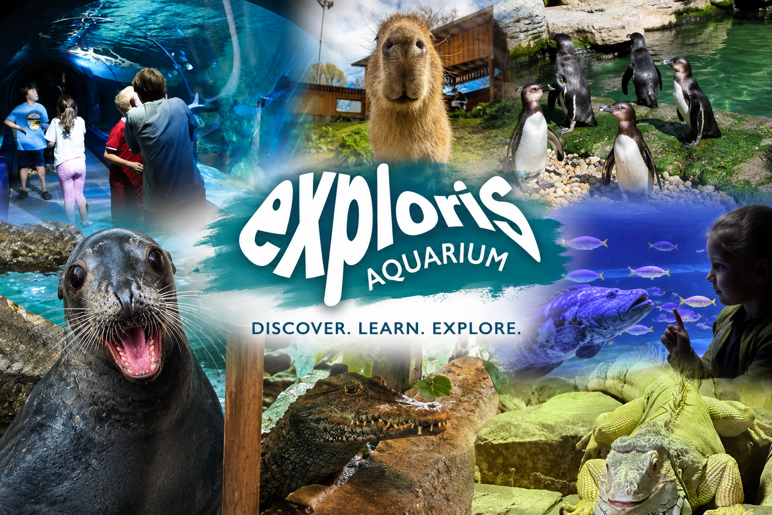 Collage of scenes from Exploris Aquarium featuring children observing marine animals, a capybara, penguins, a seal, a crocodile, an iguana, and fish. The center includes the Exploris Aquarium logo and the tagline "Discover. Learn. Explore."