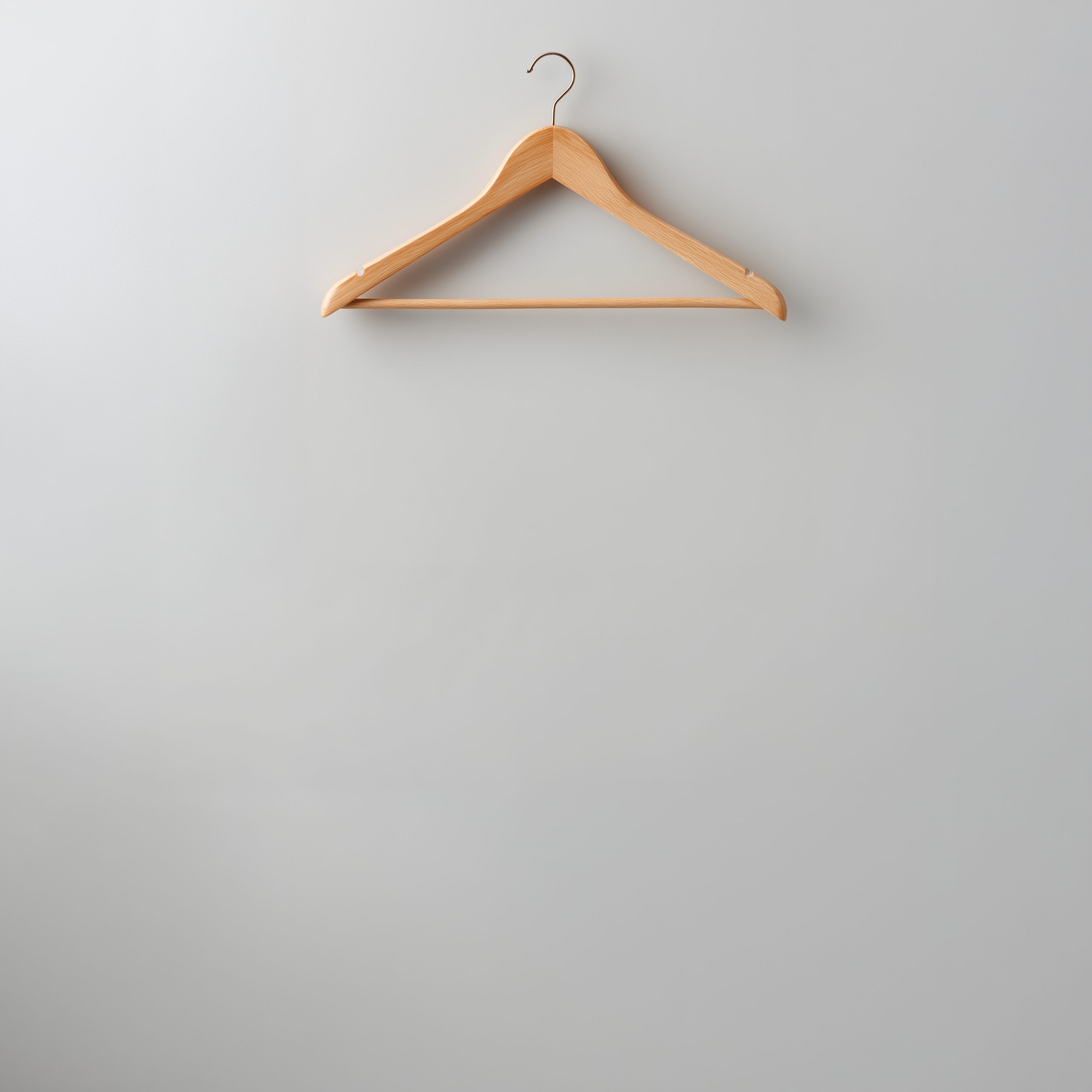 hanger.png (Copy) (Copy) (Copy)