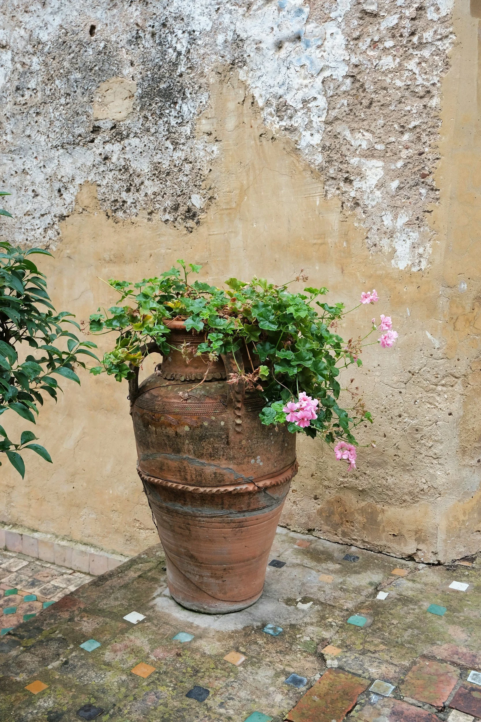 A large, weathered terracotta pot with a plant that has green leaves and pink flowers, situated against a textured beige and white wall with peeling paint. The ground is a mosaic of brick and small colorful tiles.