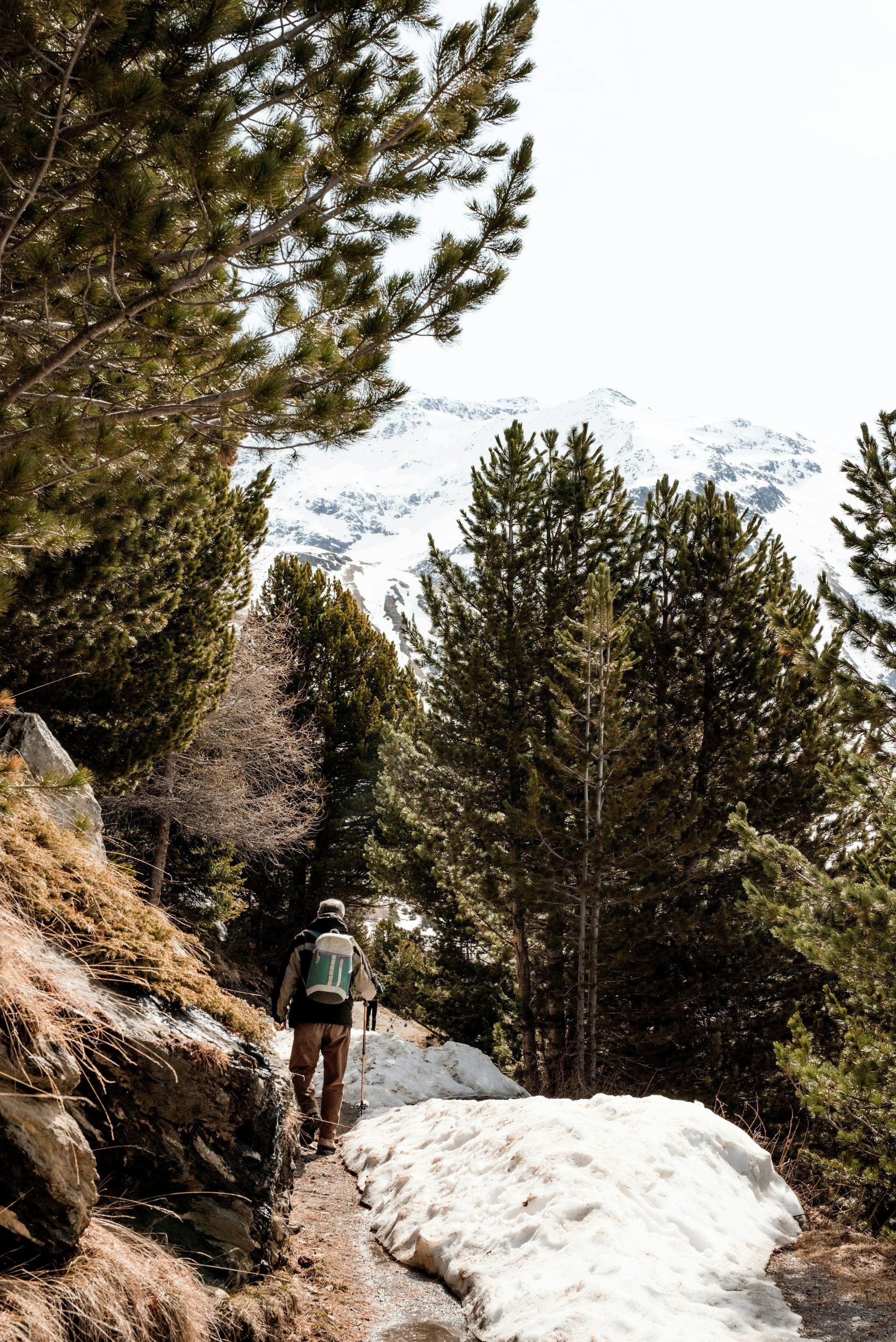 National Forest Access