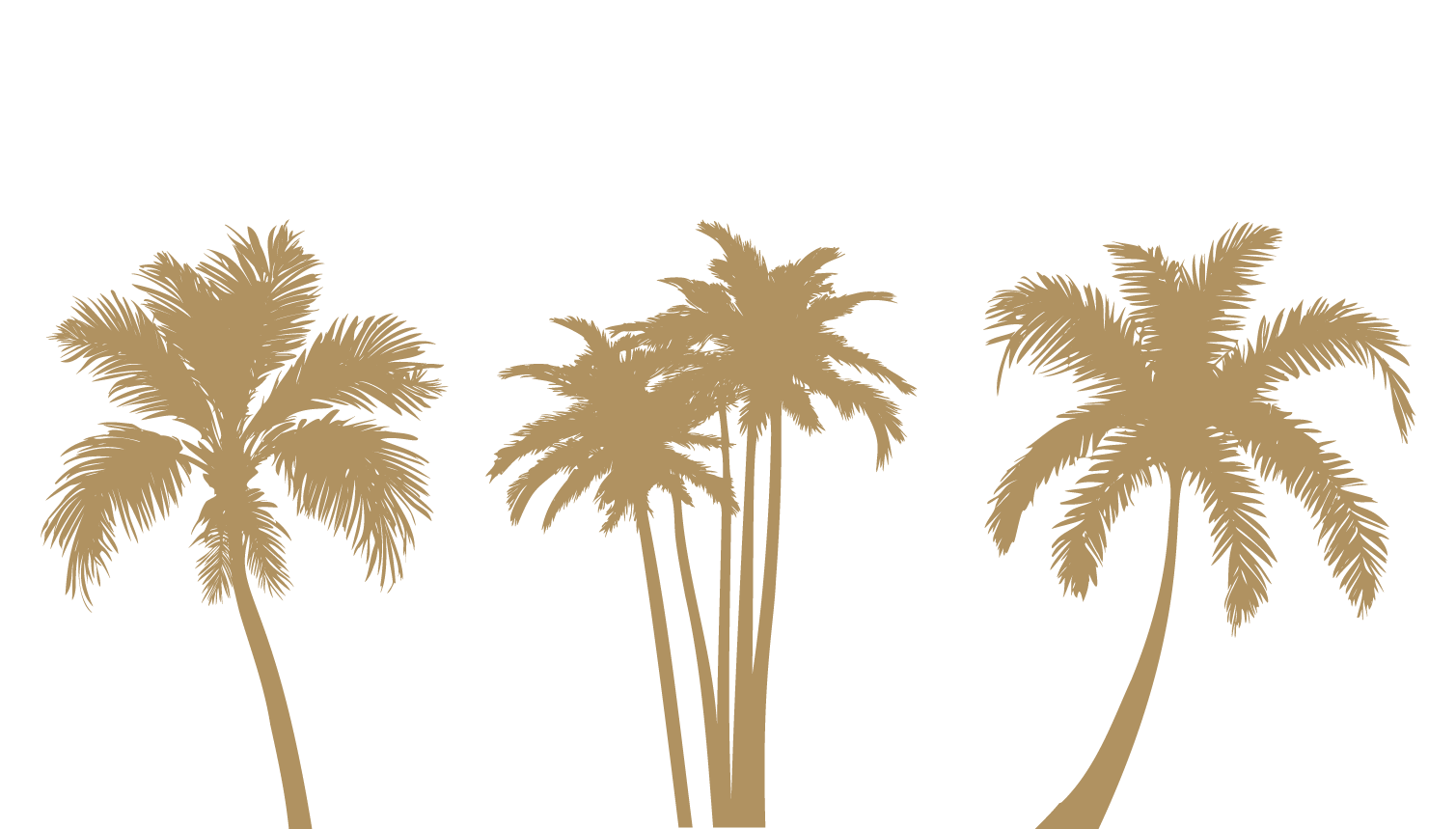 Three beige palm trees on a black background