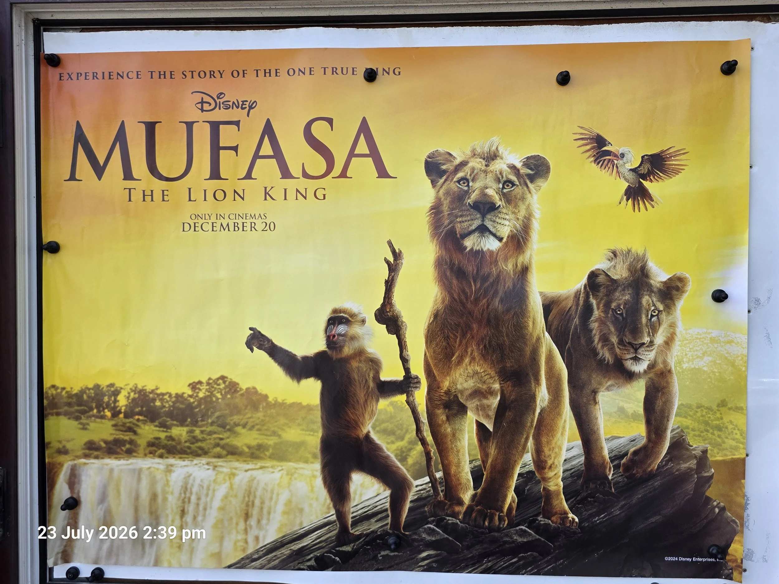 Mufasa: The Lion King - Quad Poster
