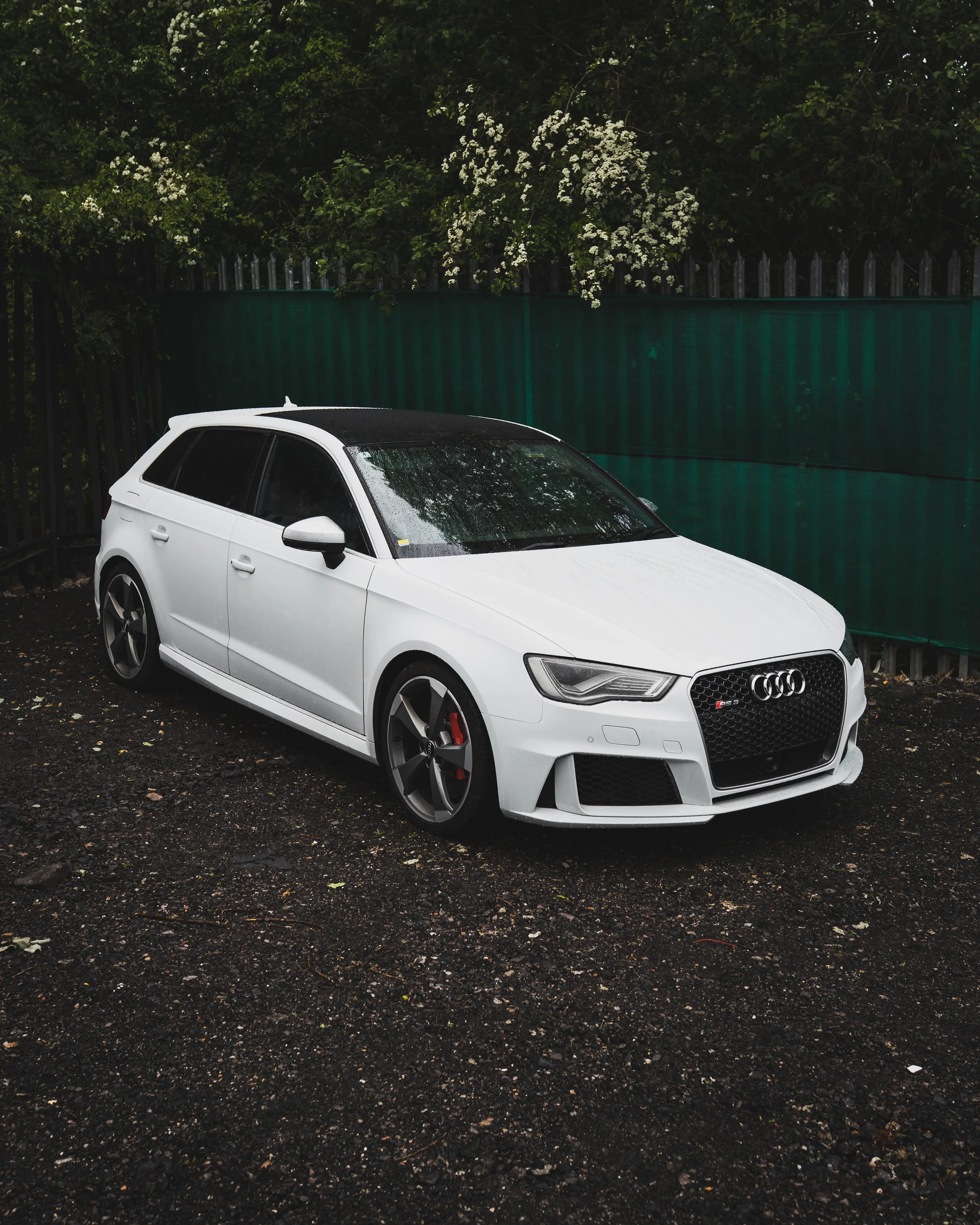 2016 Audi RS3 8V