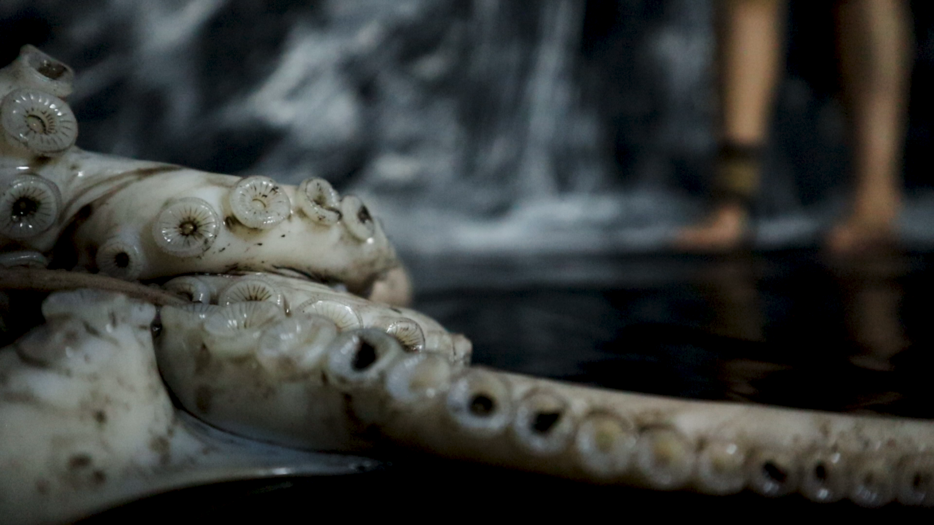focus tentacle.png