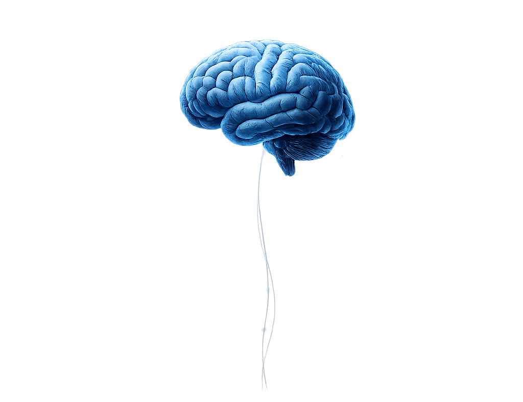 Illustration of a brain