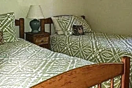 A bedroom with two beds covered in green and white patterned bedspreads, a wooden nightstand, a lamp, and a pillow on one bed.