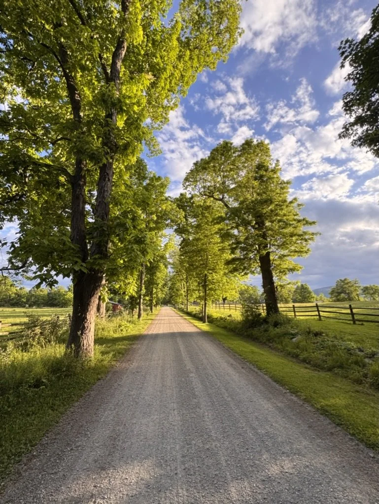 A gravel country road lined with green trees on both sides, under a blue sky with scattered clouds.