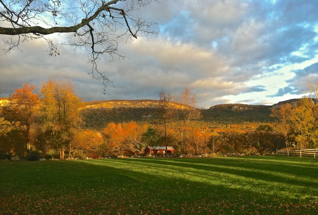 Scenic Shawangunk Mountain landscape with a grassy field, the cliffs in the background, and a partly cloudy sky.