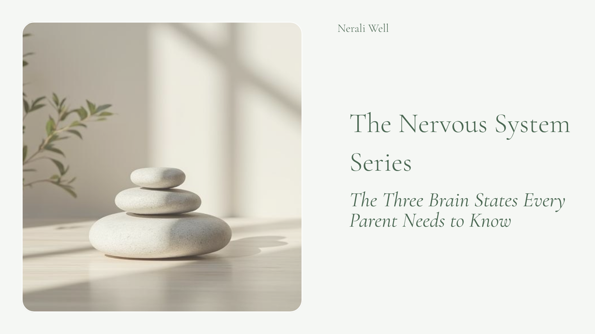       
  
      The Three Brain States Every Parent Needs to Know      And What They Mean for Your Child’s Behavior       There is a moment every parent knows.    Your child is escalating. You can feel it happening. You know you should stay calm. You