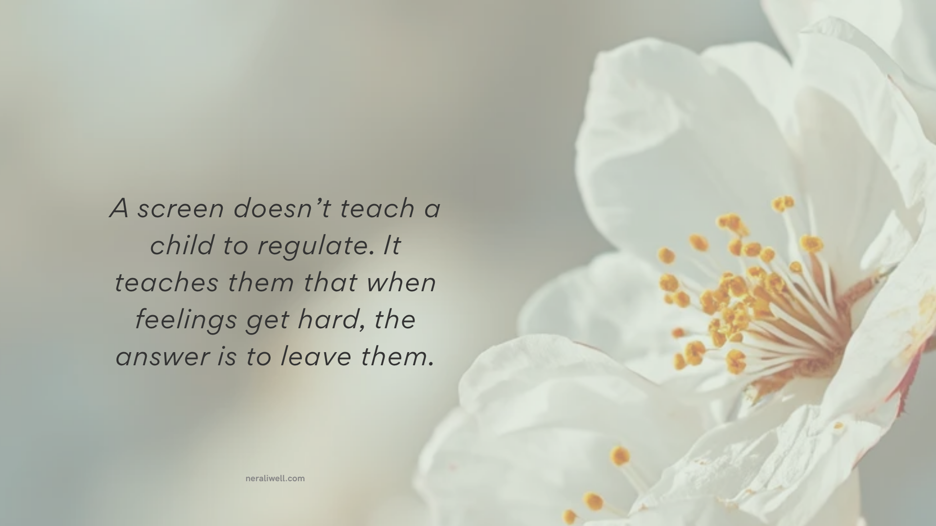 White pull quote card with blossom image reading: A screen doesn't teach a child to regulate. It teaches them that when feelings get hard, the answer is to leave them. neraliwell.com