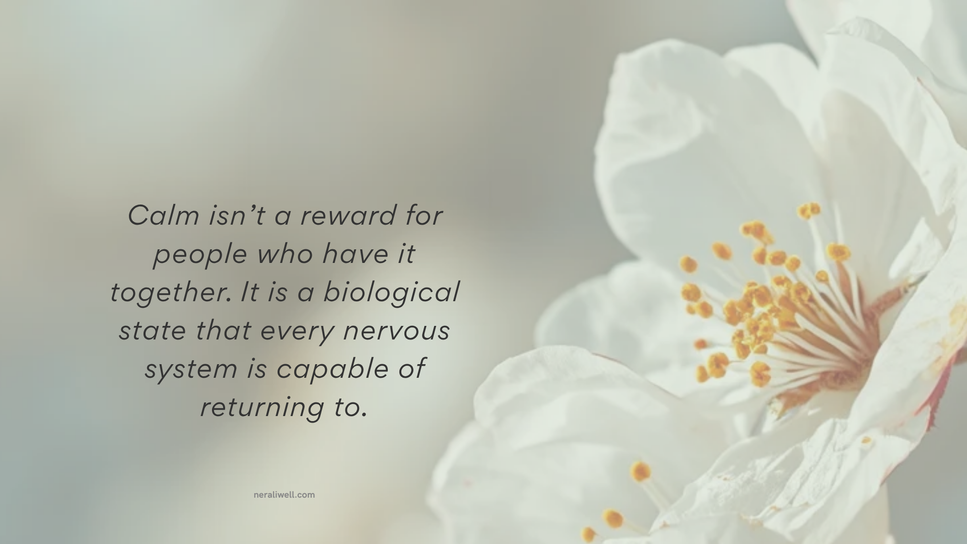 White pull quote card with blossom image reading: Calm isn't a reward for people who have it together. It is a biological state that every nervous system is capable of returning to. neraliwell.com