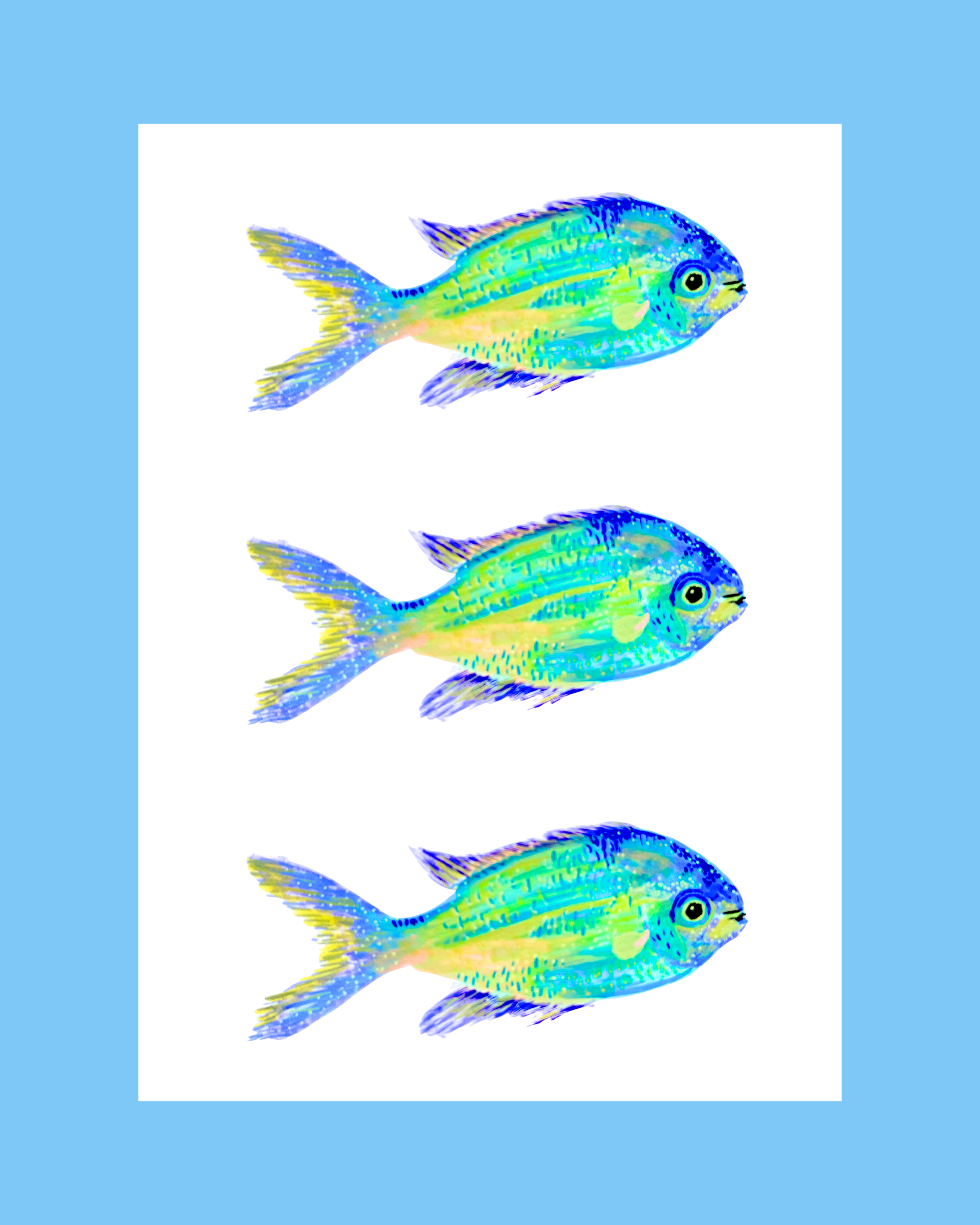 blueboarderfish.png
