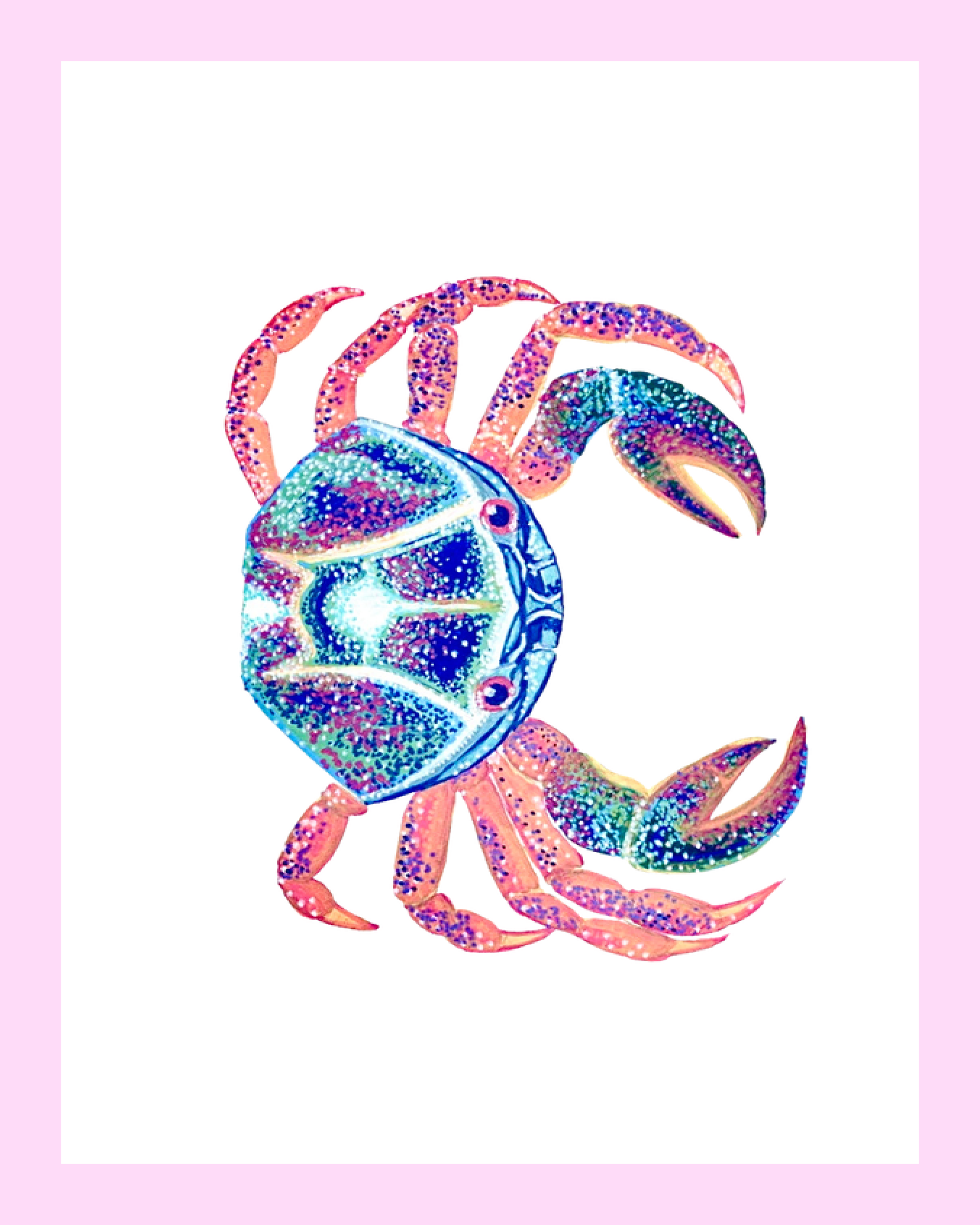 crabpurpbord.png