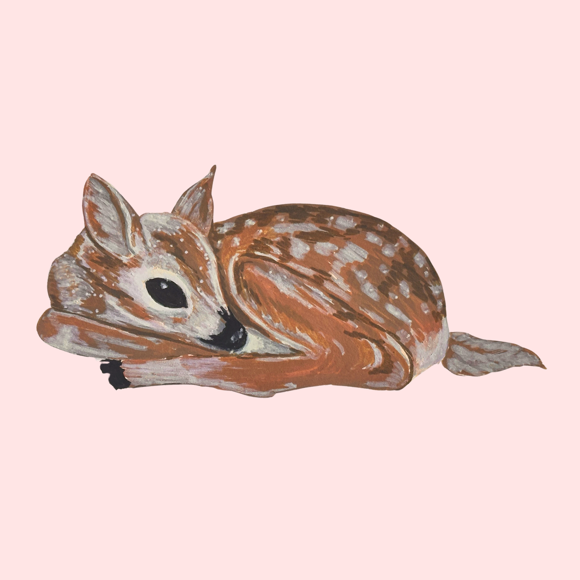 Winter Deer