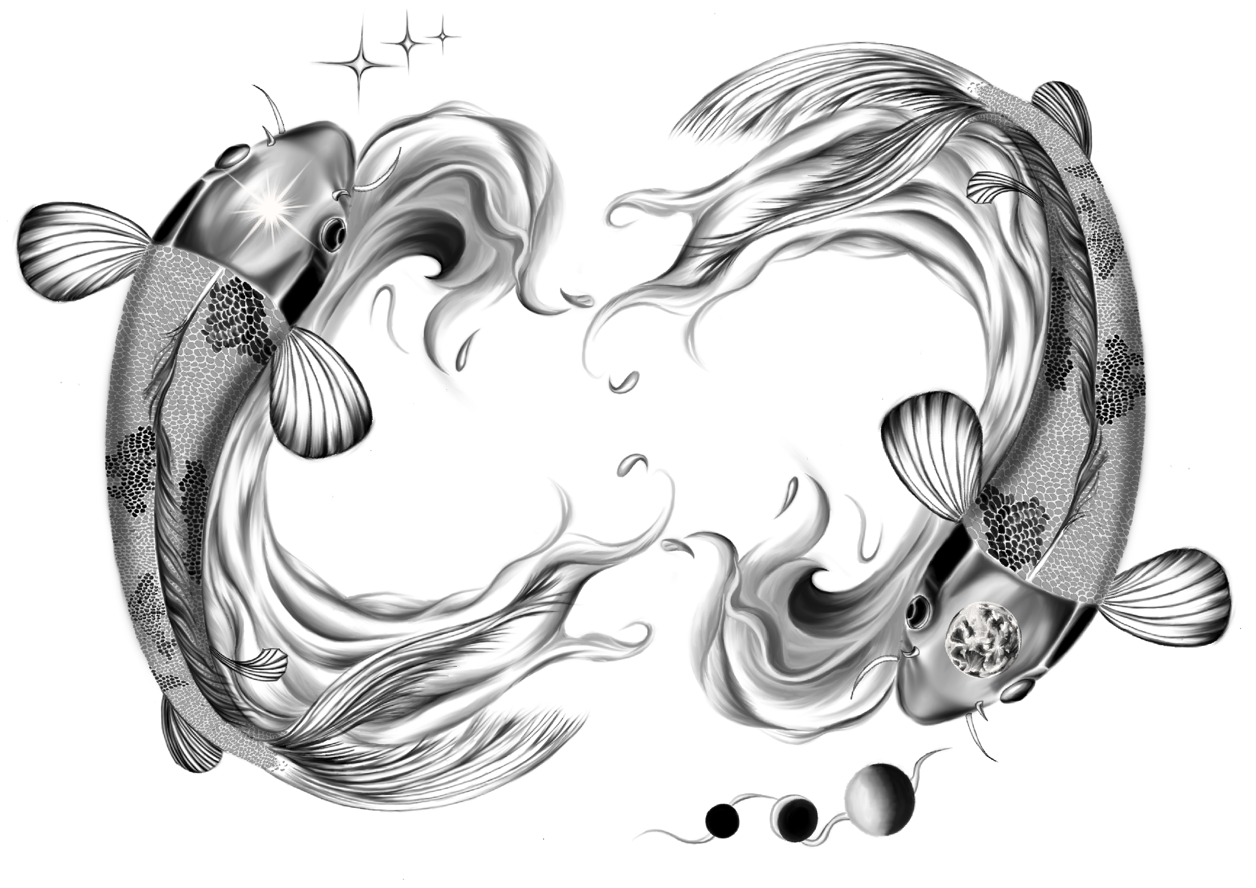 KOI PRINT