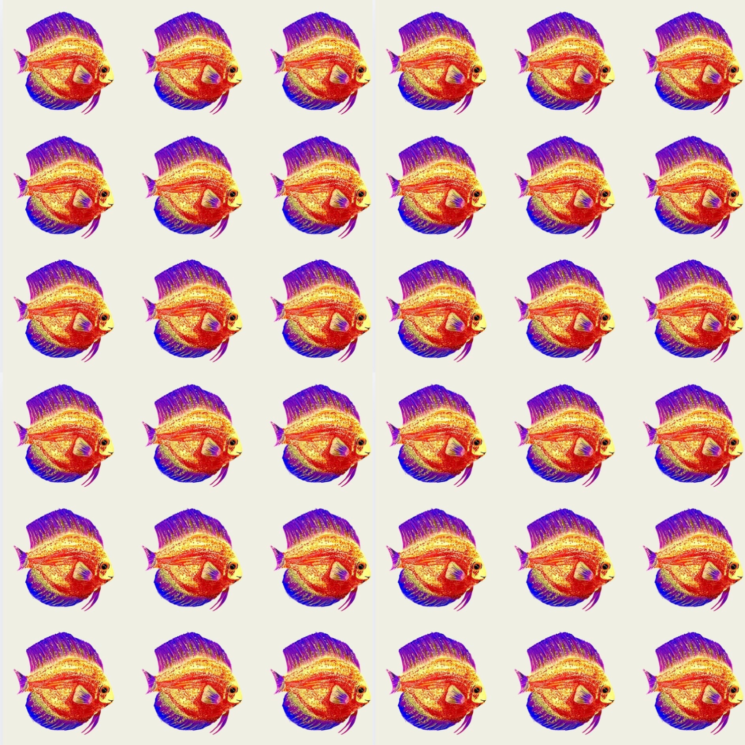 School of Fish
