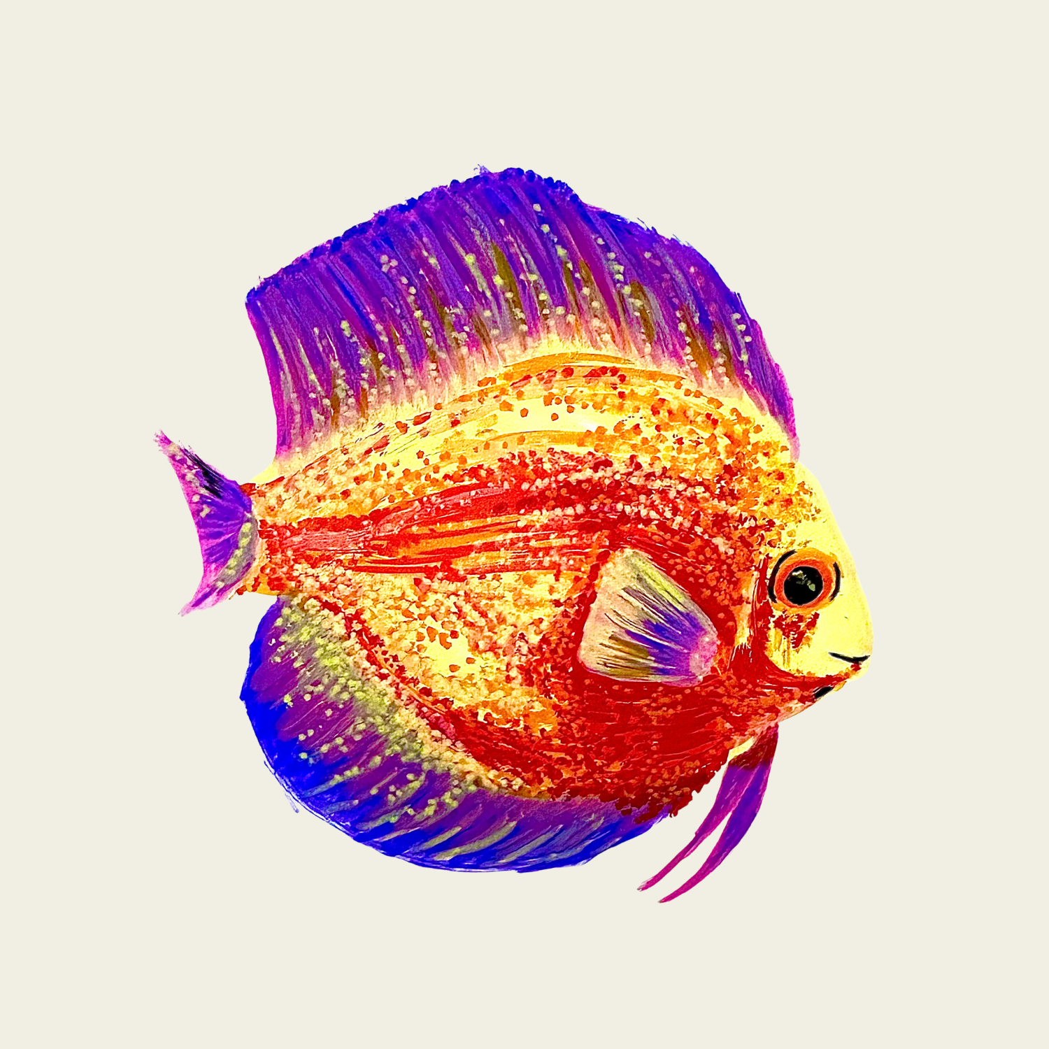 POP Fish