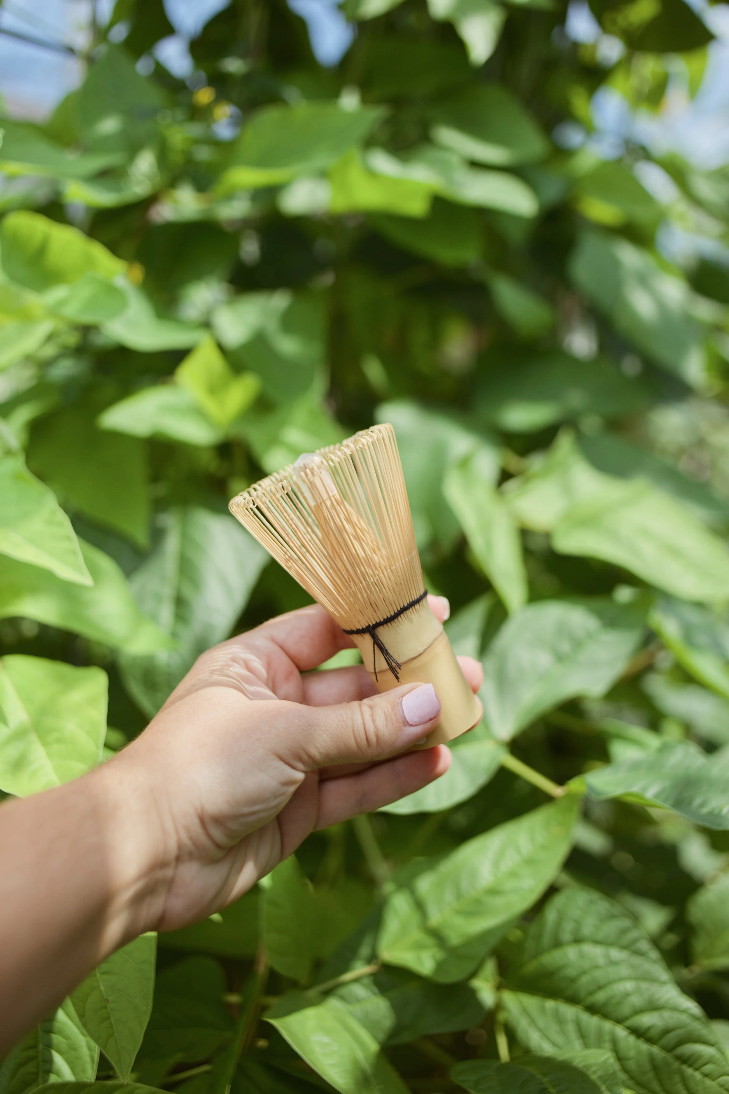Traditional Bamboo Matcha Whisk