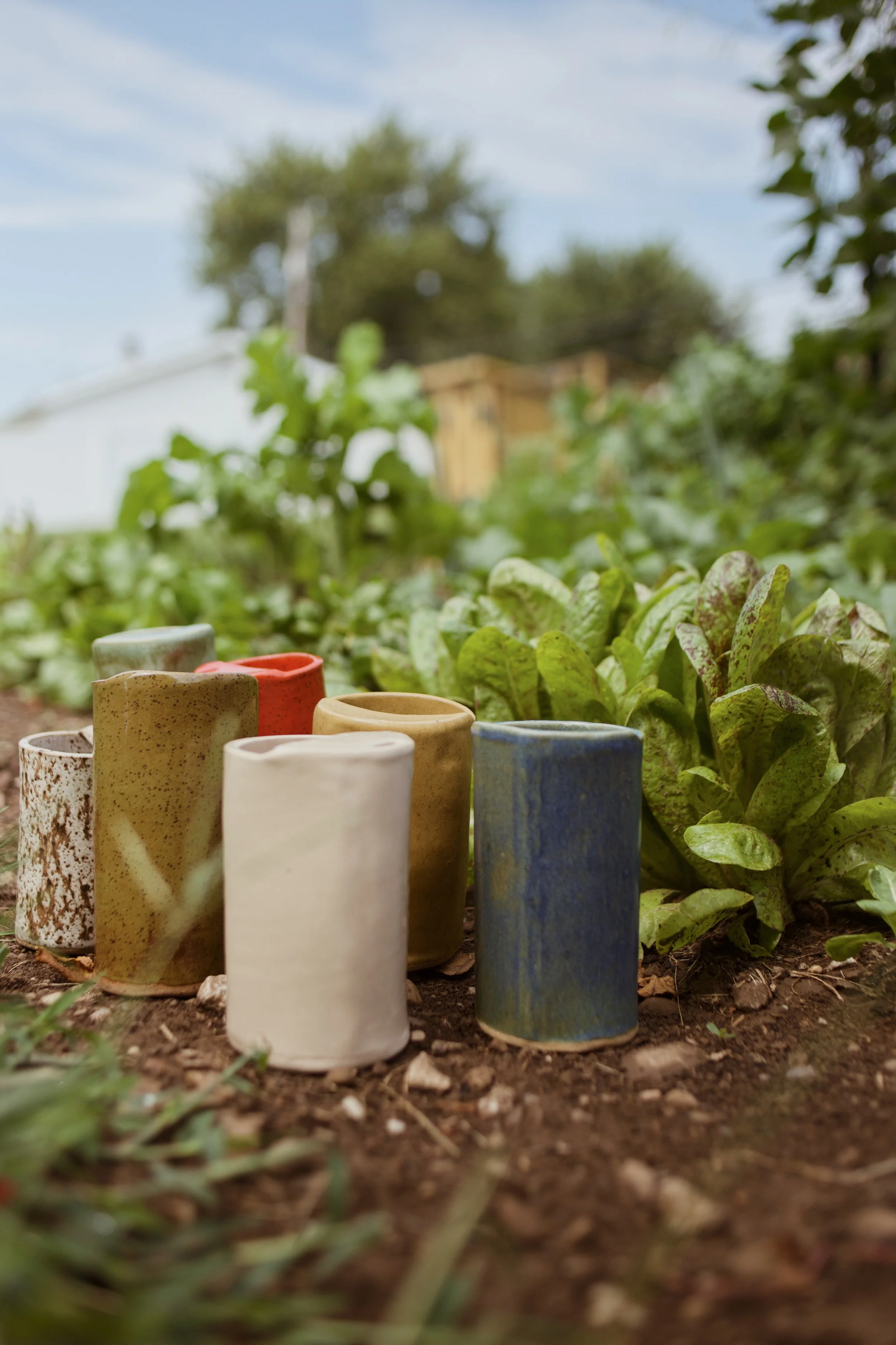 A row of colorful ceramic cups displayed in a garden with green leafy plants and a blurred background of trees and a blue sky.