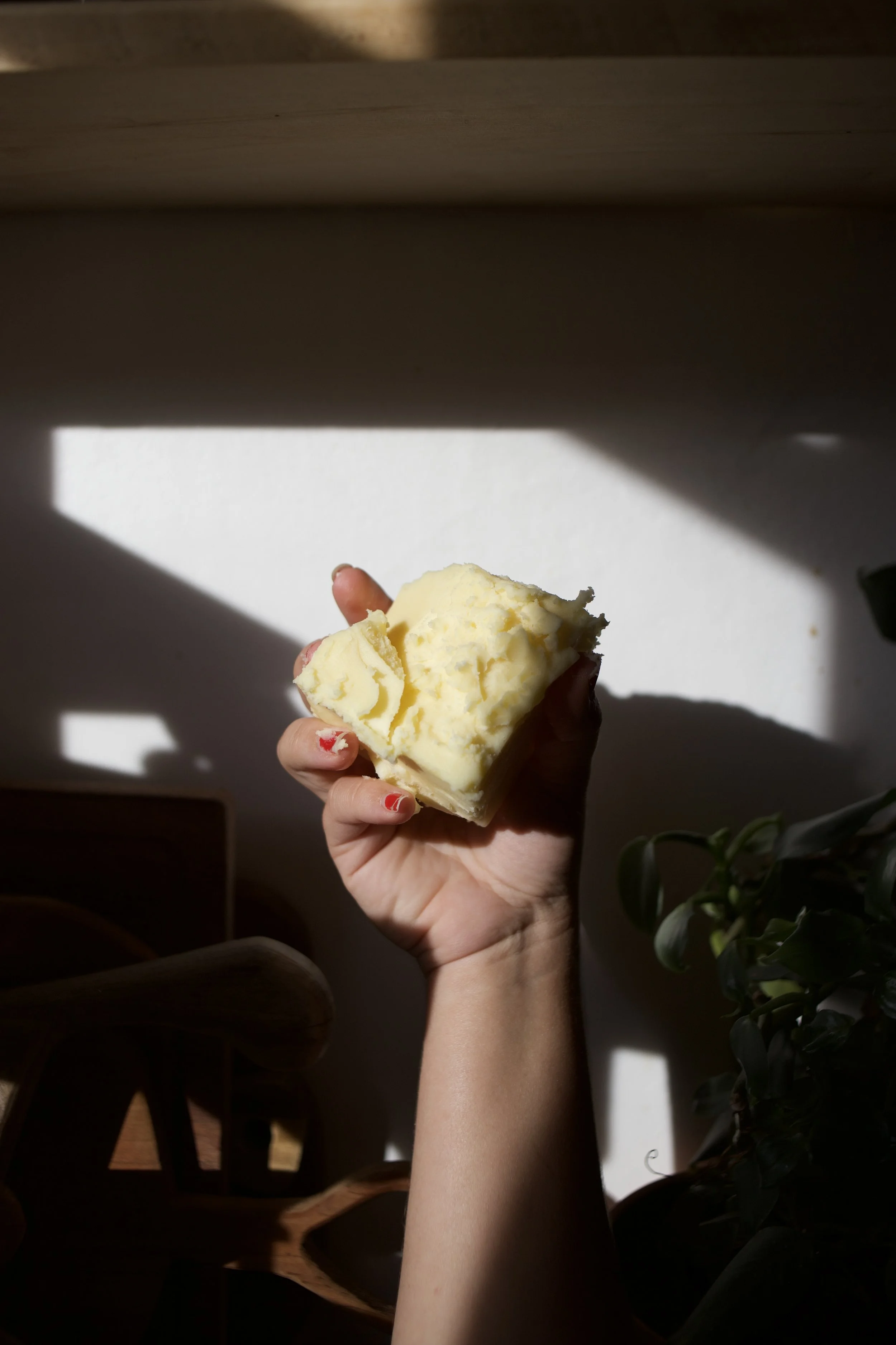 Hand holding a piece of solidified beef tallow with a plain wall background and sunlight creating shadow patterns.