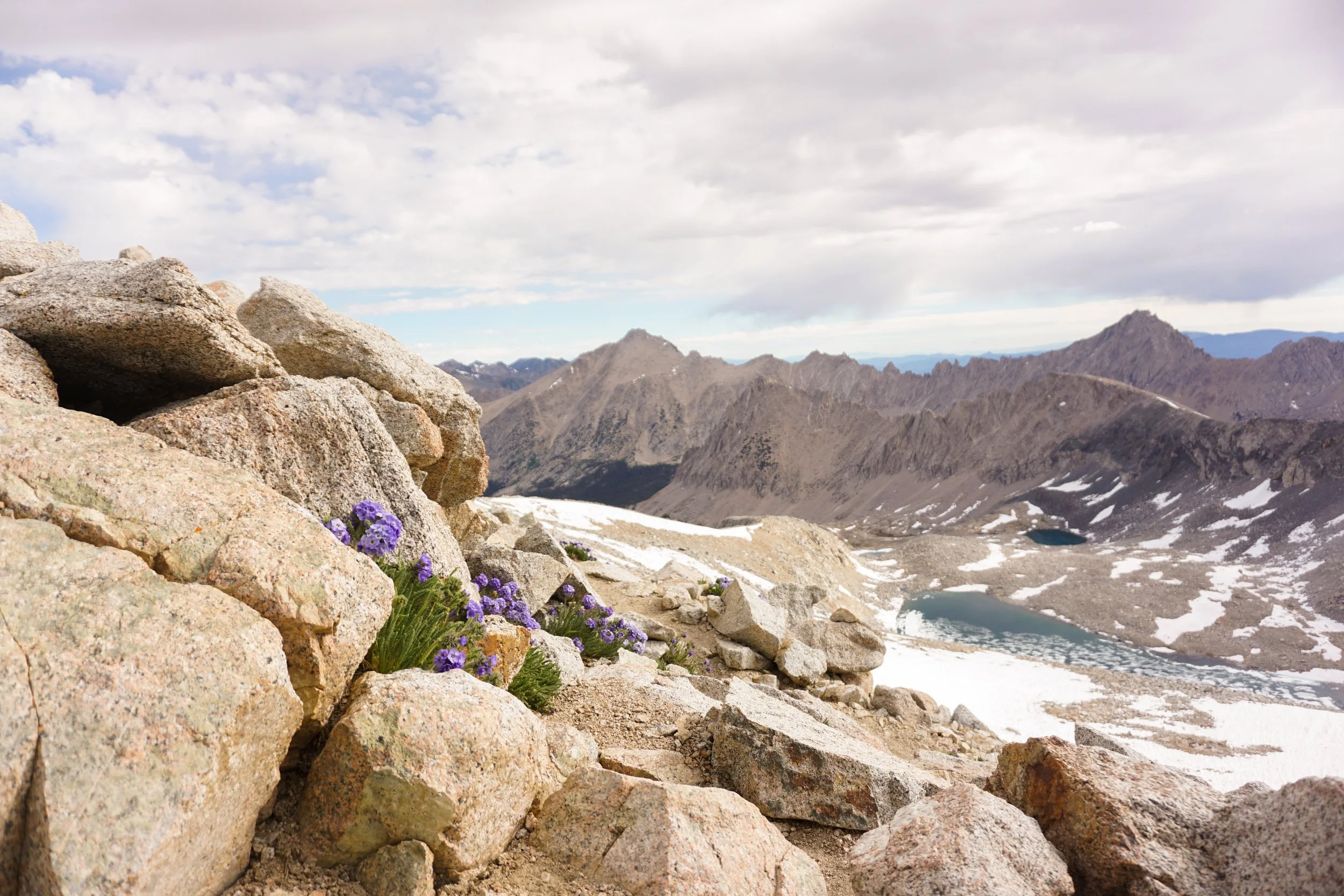 Rocky mountain landscape with purple wildflowers in the foreground, snow patches, mountain peaks, lakes, and a cloudy sky in the background.