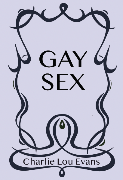 Book cover titled 'Gay Sex' by Charlie Lou Evans, featuring a stylized mirror outline with a green dot and abstract design elements.