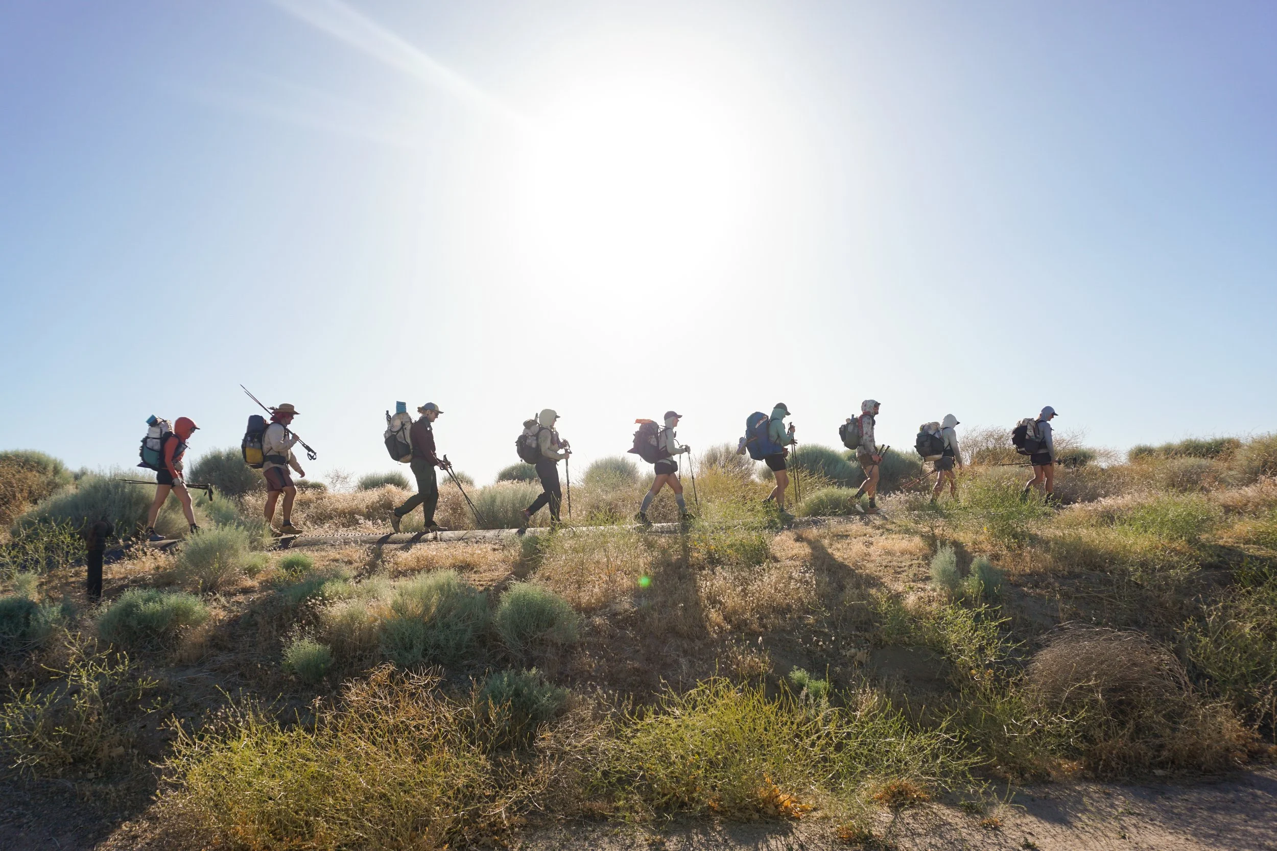 A group of hikers walking in a line on a trail in a dry, desert-like landscape under a bright sun.
