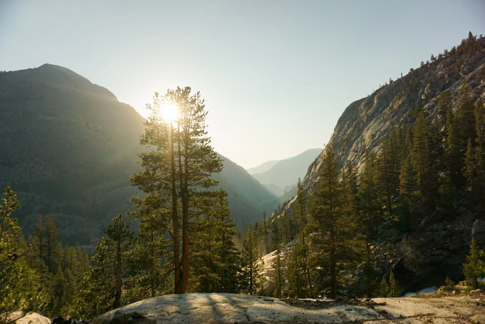 Sunlight shining through tall pine trees in a mountainous landscape with rugged cliffs and a forested valley.