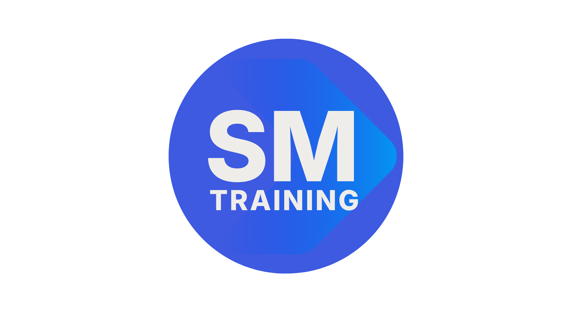 Blue hexagon icon with white text that says "SM TRAINING".