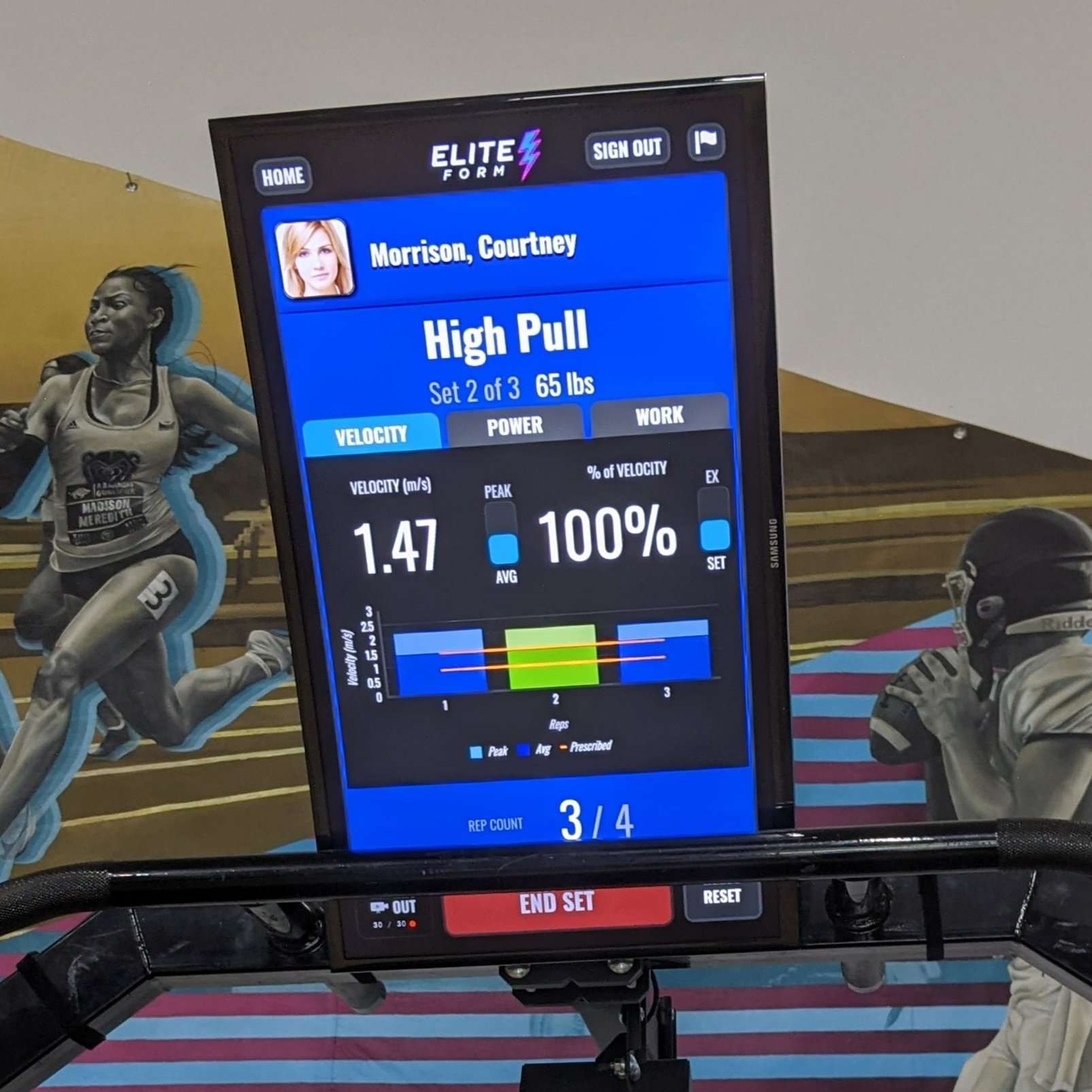 EliteForm Screen Colors