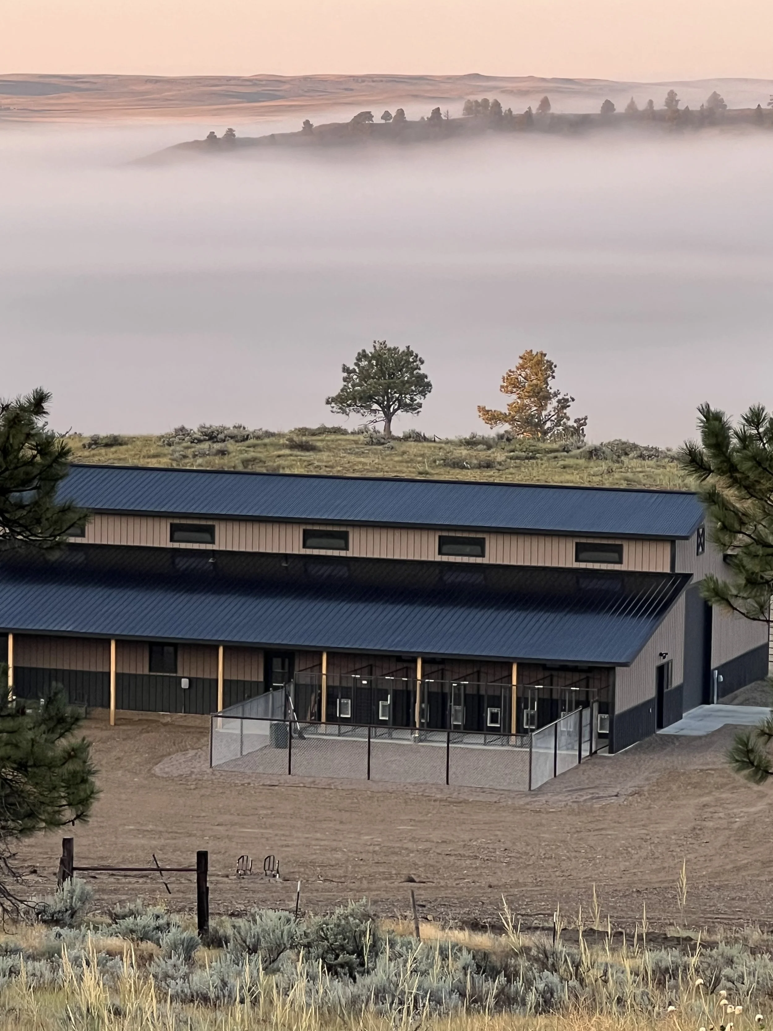 A building with a blue roof and beige walls sitting on a dirt area, surrounded by grass and small plants, with a foggy landscape and trees in the background.
