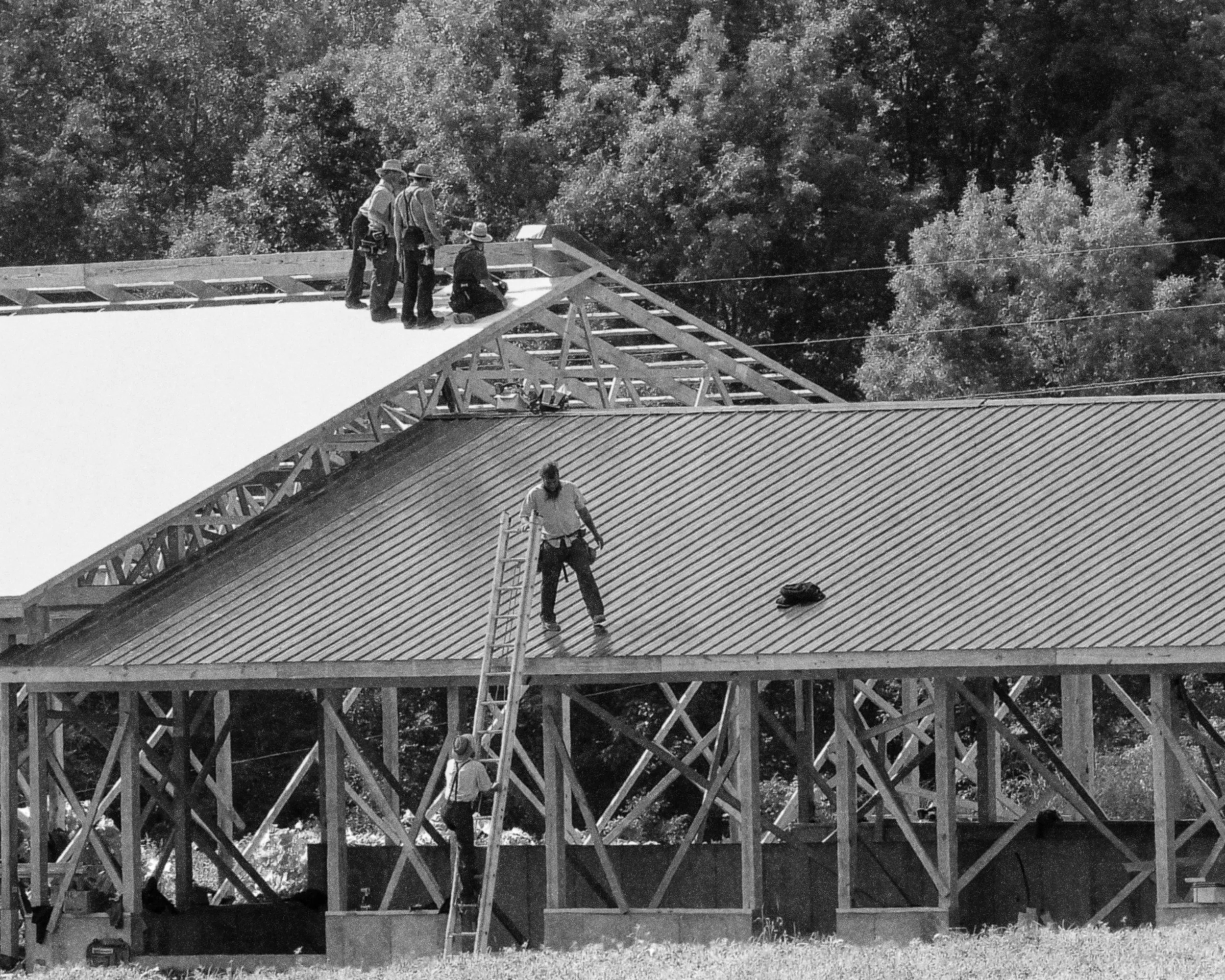 Workers building the wooden framework of a house, standing on the roof and scaffolding, with trees in the background.