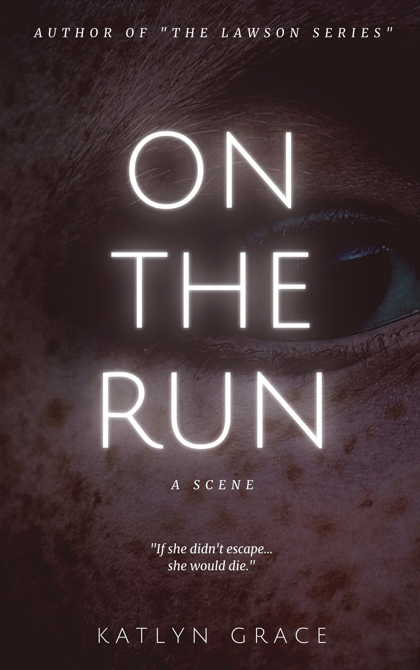 On the Run (Scene)