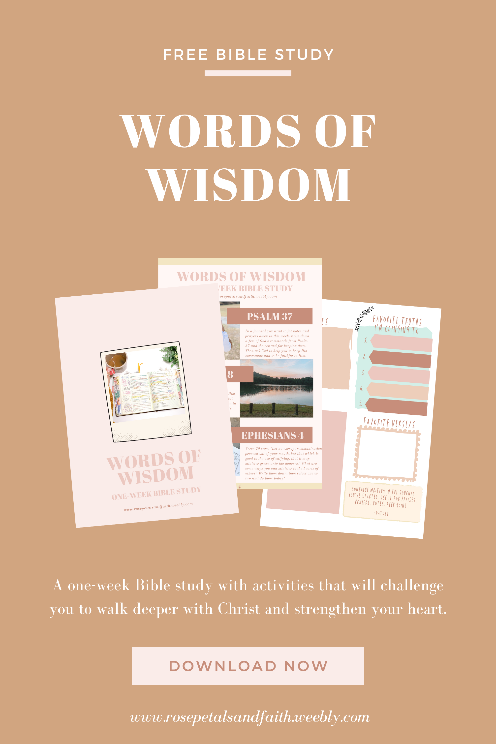 Words of Wisdom: One-Week Bible Study