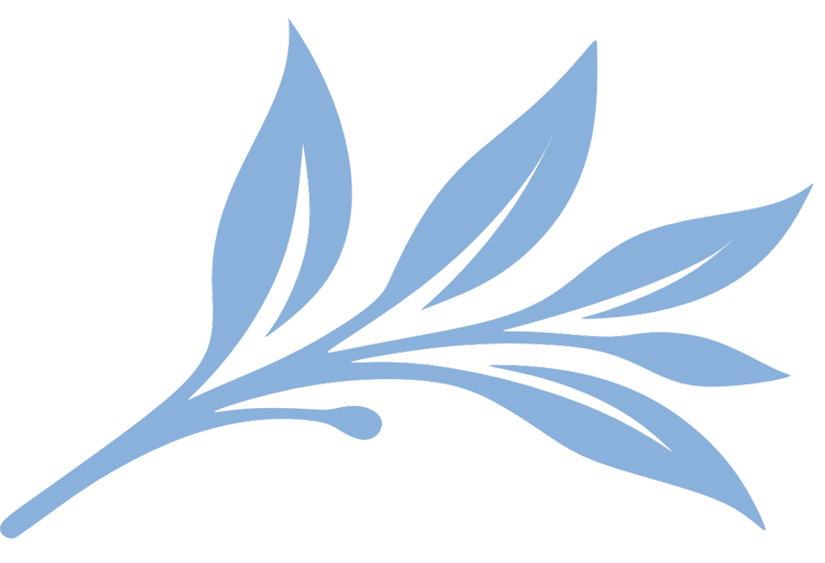 A stylized light blue illustration of a fern leaf, which is an element of the Silver and Sage logo.
