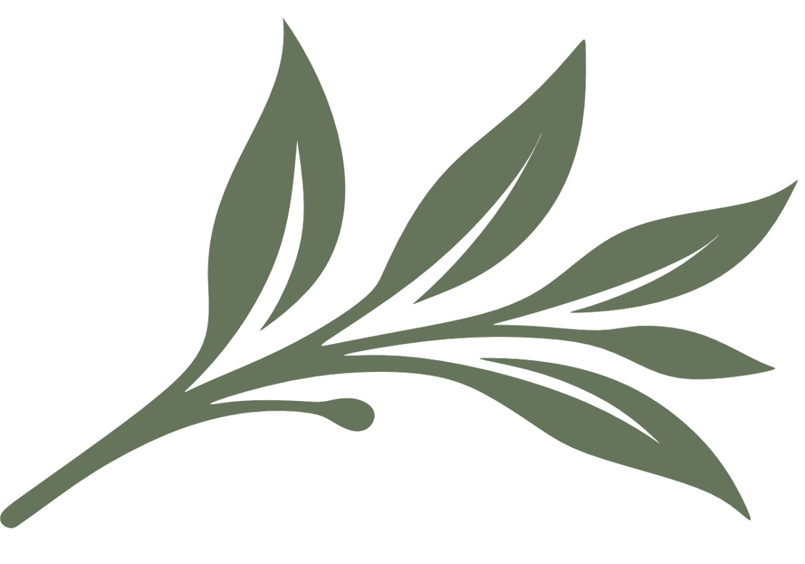 Green illustration of a botanical branch with leaves and buds, which is an element of the Silver and Sage logo.