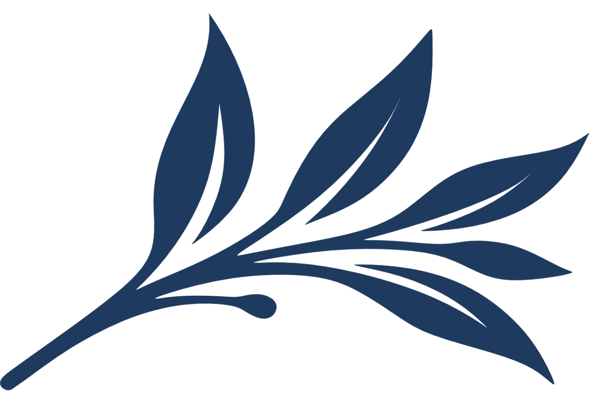 Dark blue silhouette of a leaf with multiple smaller leaves extending from the stem, which is an element of the Silver and Sage logo.